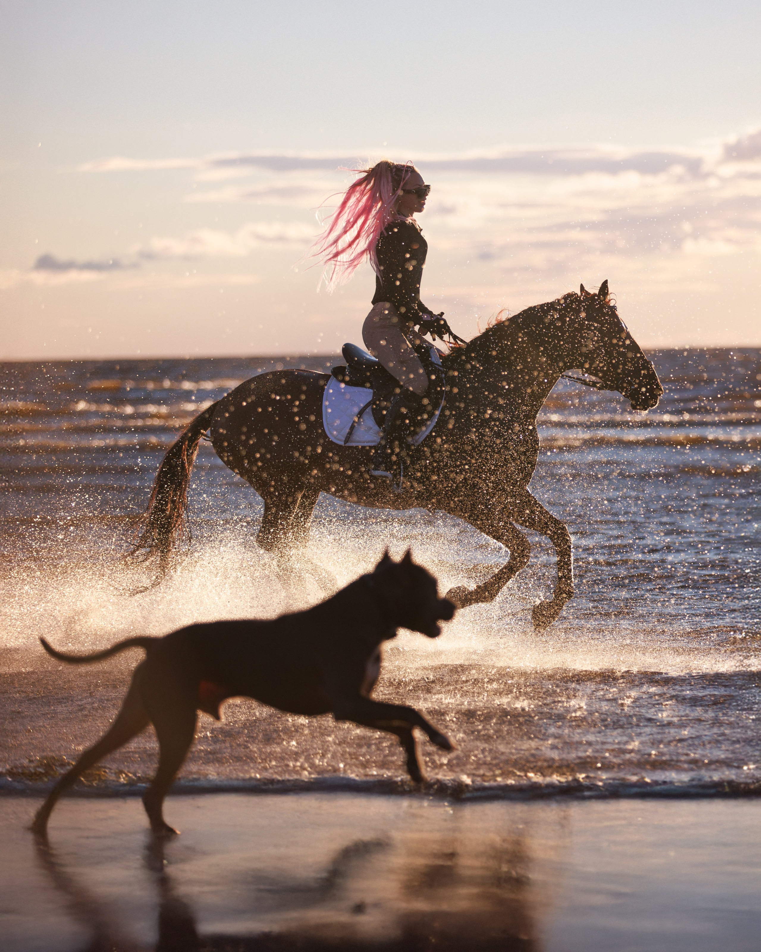 Конный фотограф Яна Орлова. Фотосессии с лошадьми в Санкт-Петербурге