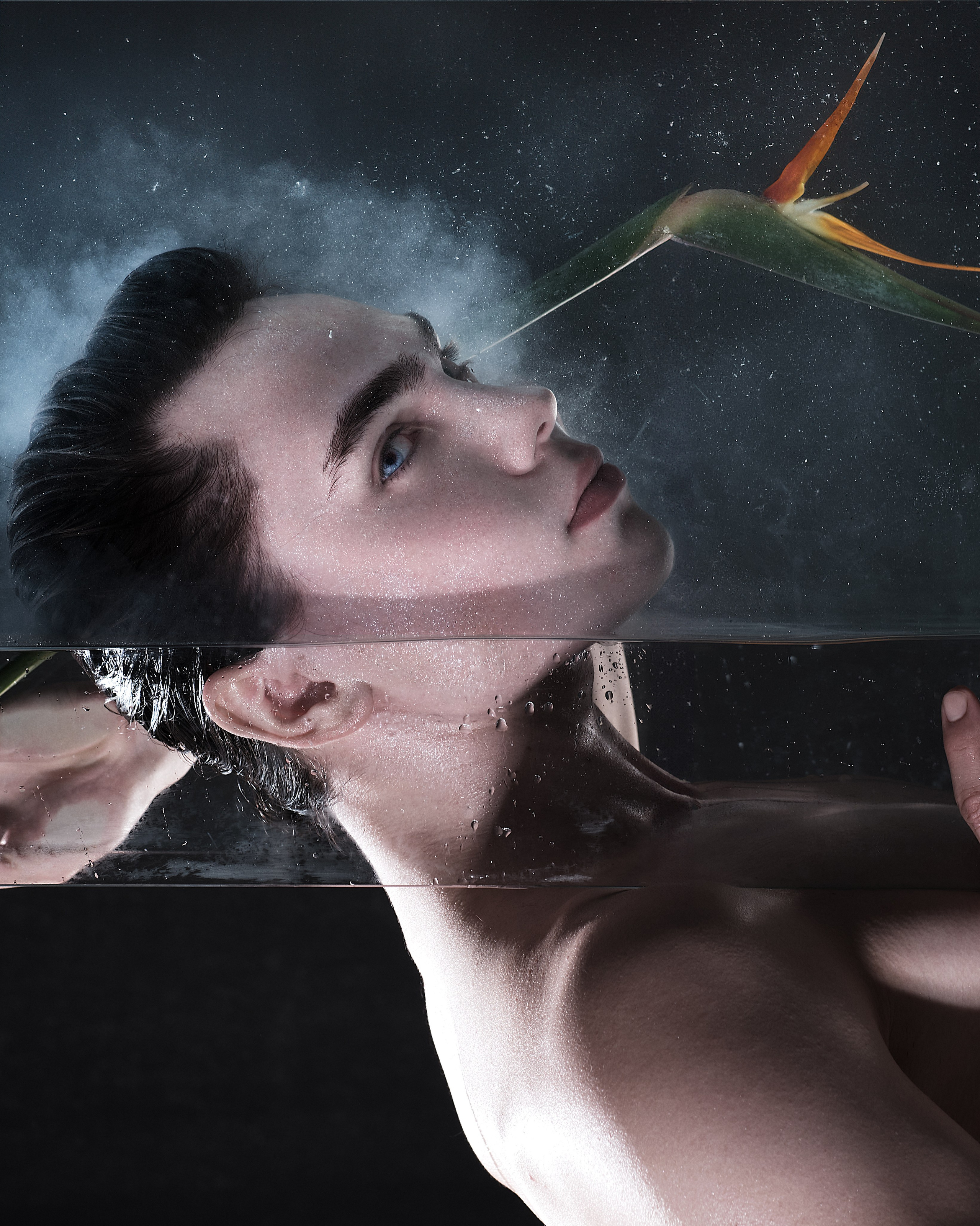 Обучение фотографии. Студийный фотограф в Москве Илья Сухов