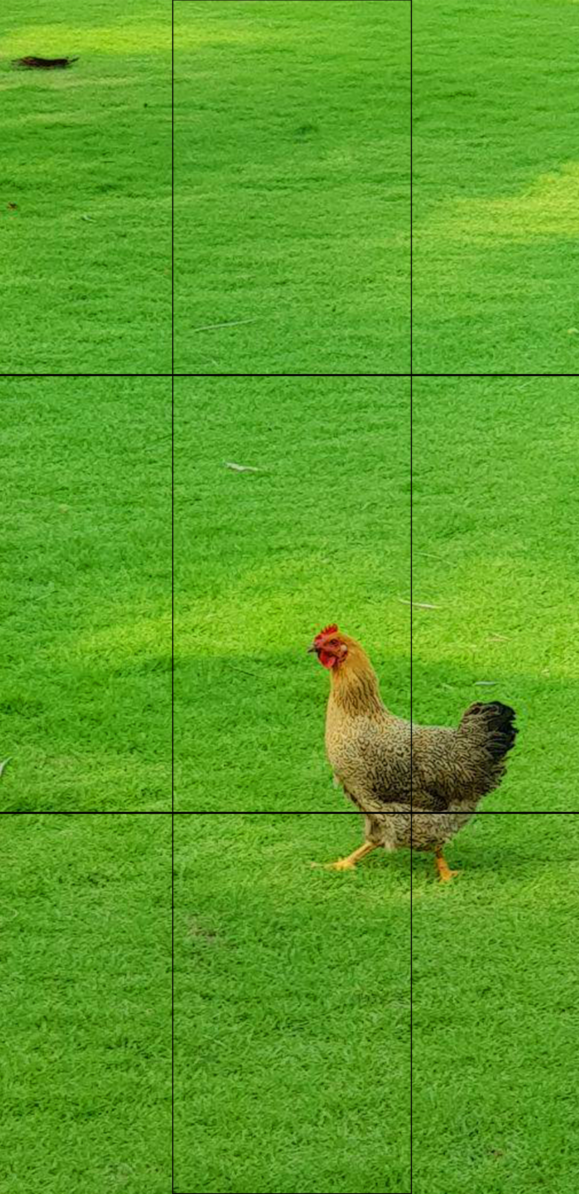 Мобильная съёмка часть 1. Фотограф в жанре Ню. Татьяна Хасанович. Красноярск