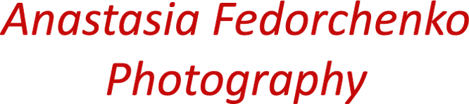 afedorchenko-photo.ru
