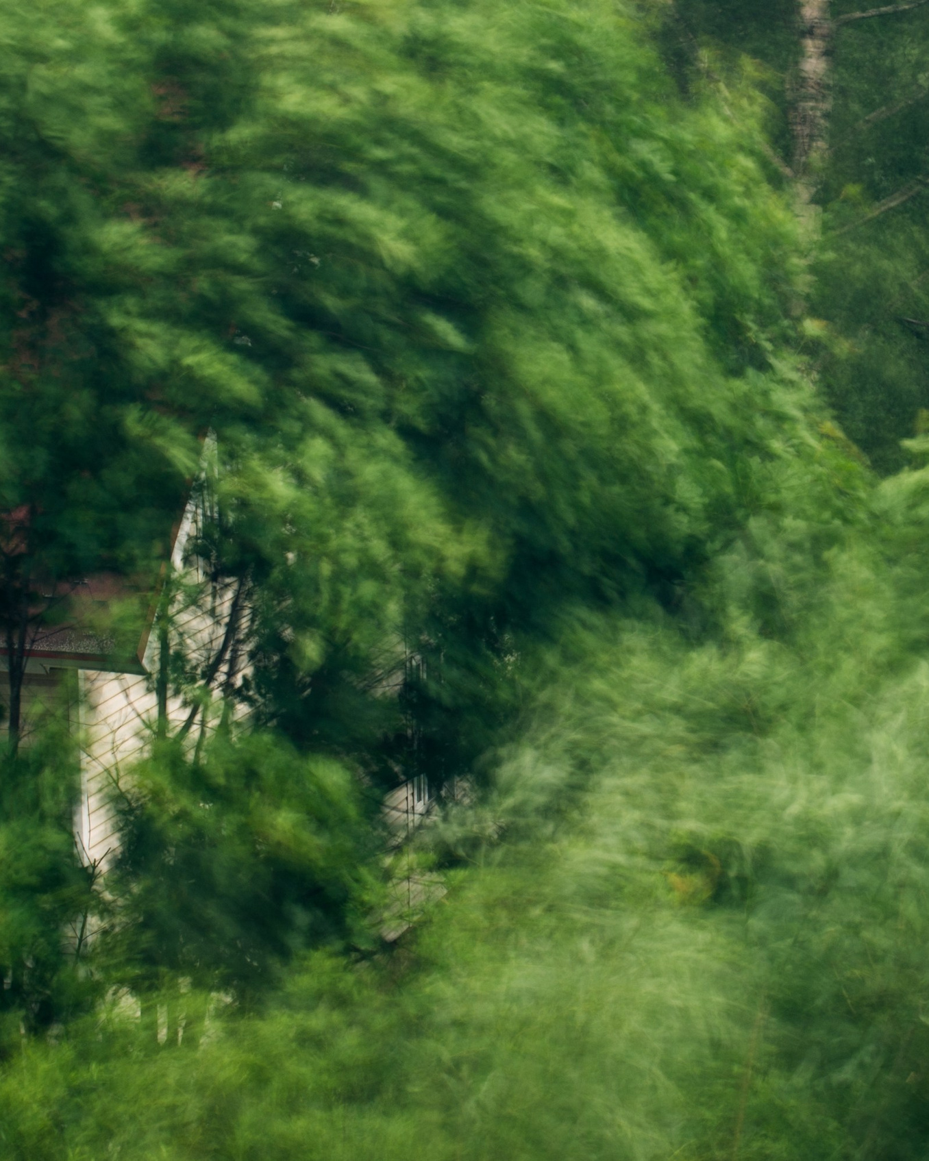 Визуализация ветра. Фотограф Даниил Богомолов, Санкт-Петербург