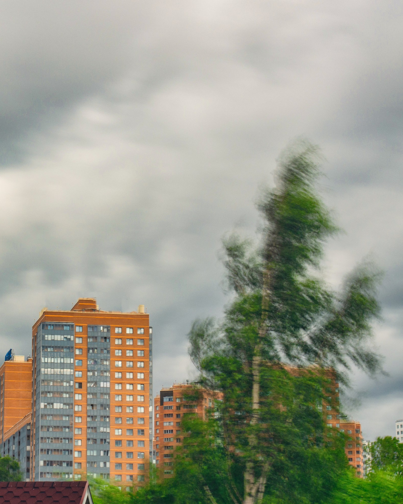 Визуализация ветра. Фотограф Даниил Богомолов, Санкт-Петербург