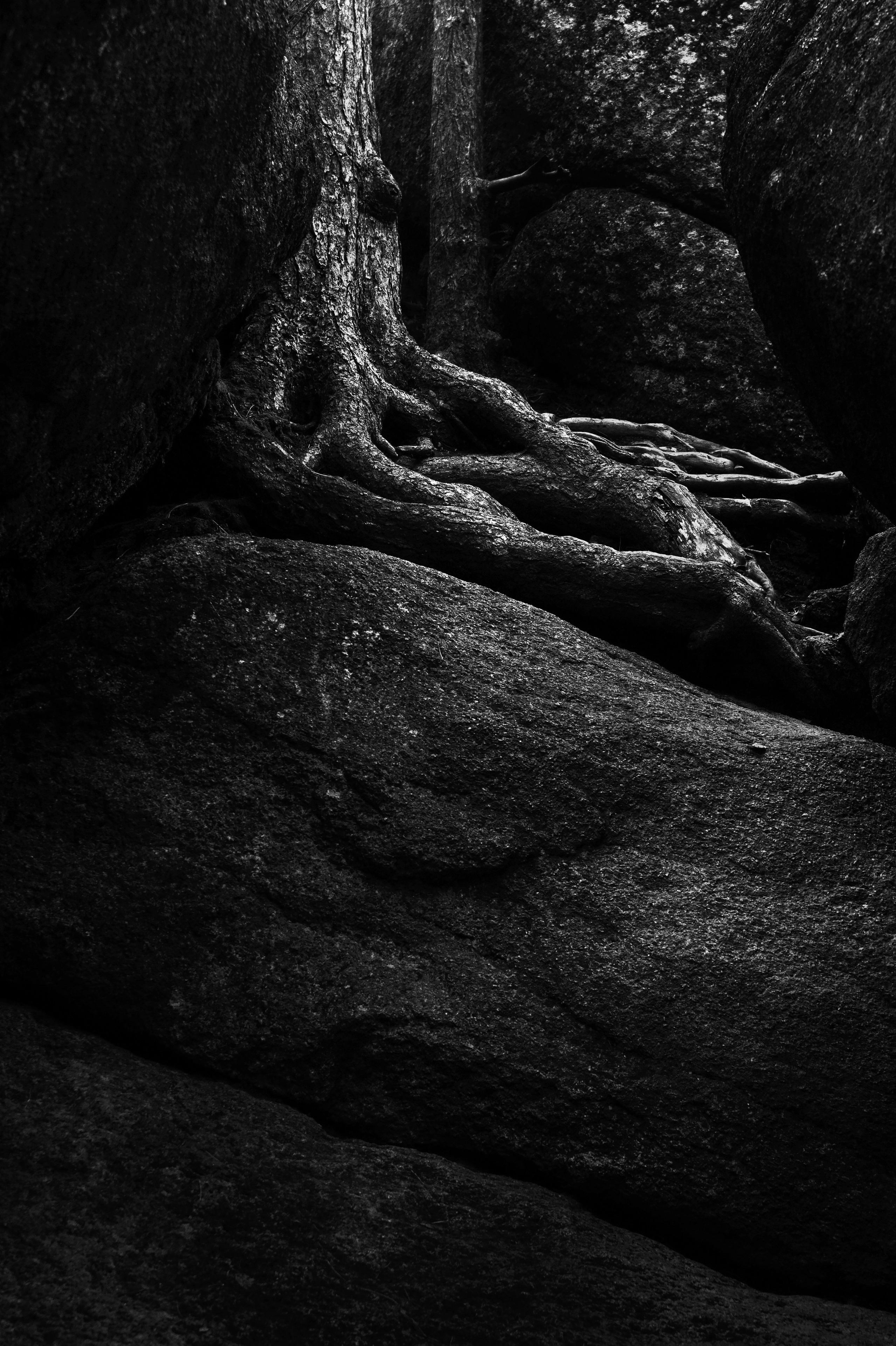 Работы, сделанные в Арт-резиденции «Красноярские столбы». Арт-фотография, терапевтическая фотография в Москве. Фотограф Анна Ермолова