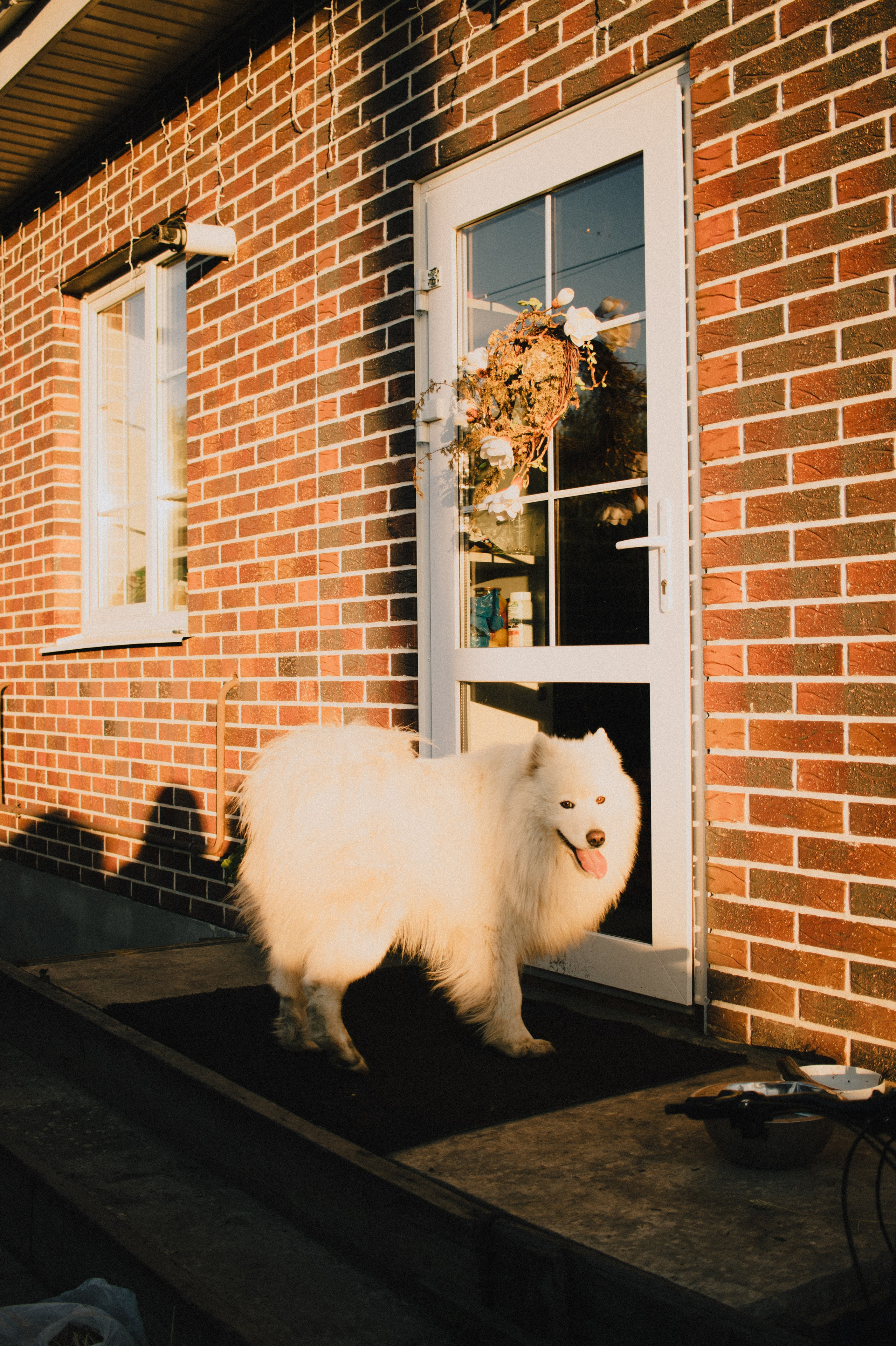 Липецк. Фотограф в Санкт-Петербурге Александра Спиридонова