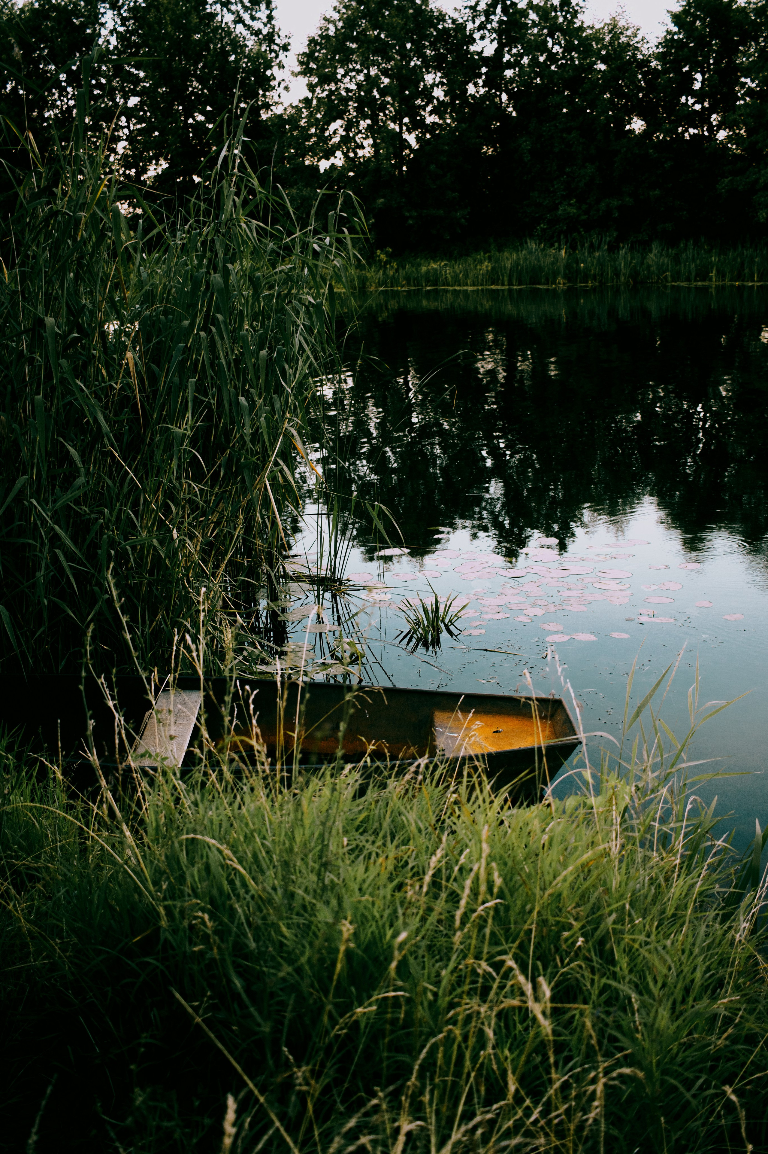 Липецк. Фотограф в Санкт-Петербурге Александра Спиридонова
