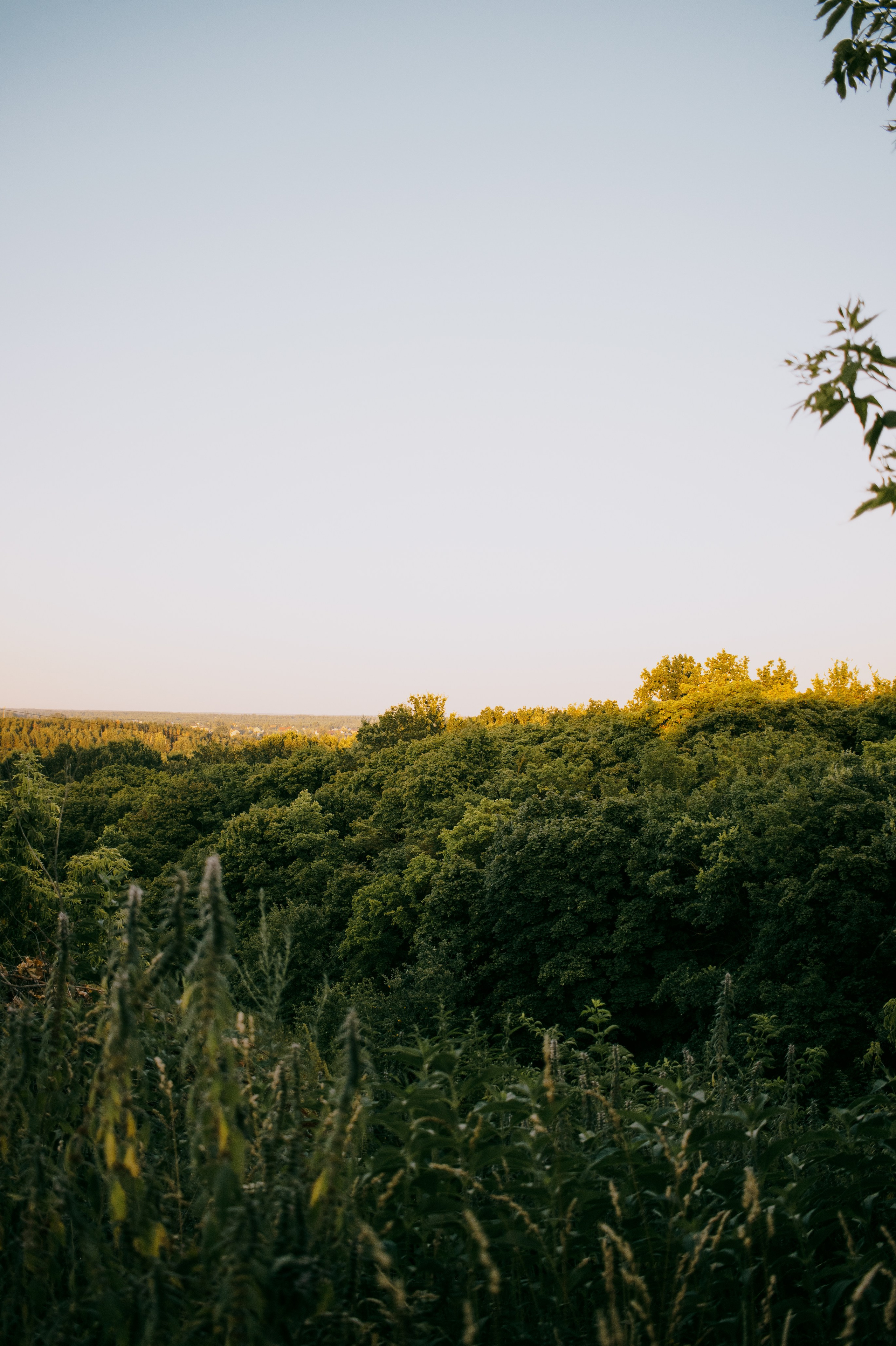 Липецк. Фотограф в Санкт-Петербурге Александра Спиридонова