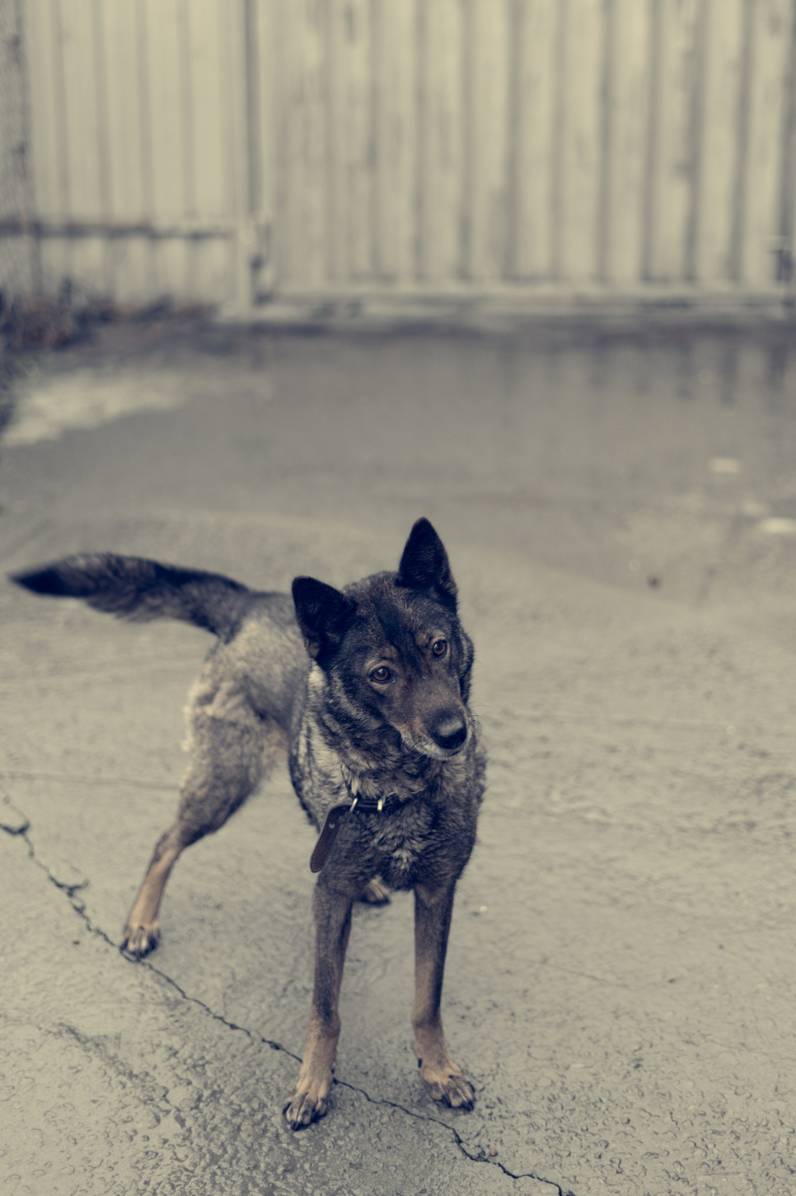 365 Фоточеллендж | 365 Photochallenge. Семейный и детский фотограф Гончарова Елена | Волжский, Волгоград