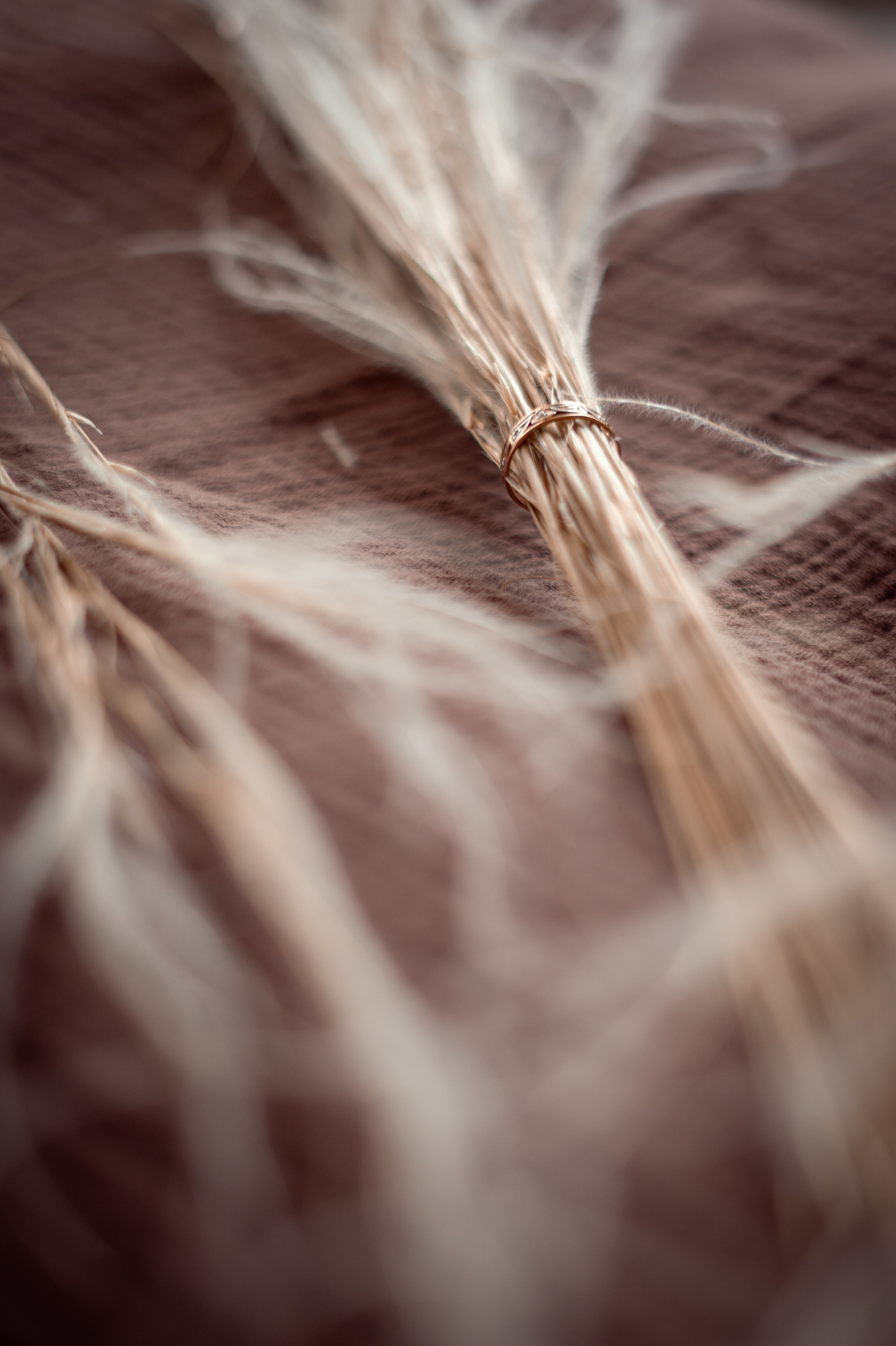 365 Фоточеллендж | 365 Photochallenge. Семейный и детский фотограф Гончарова Елена | Волжский, Волгоград