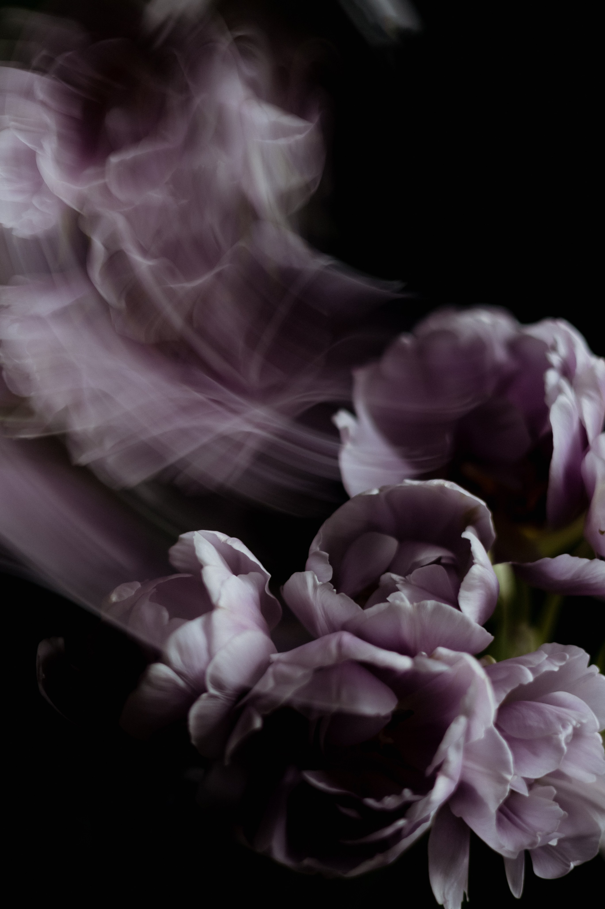 Гоглева Дарья. ARTEXPOPHOTO