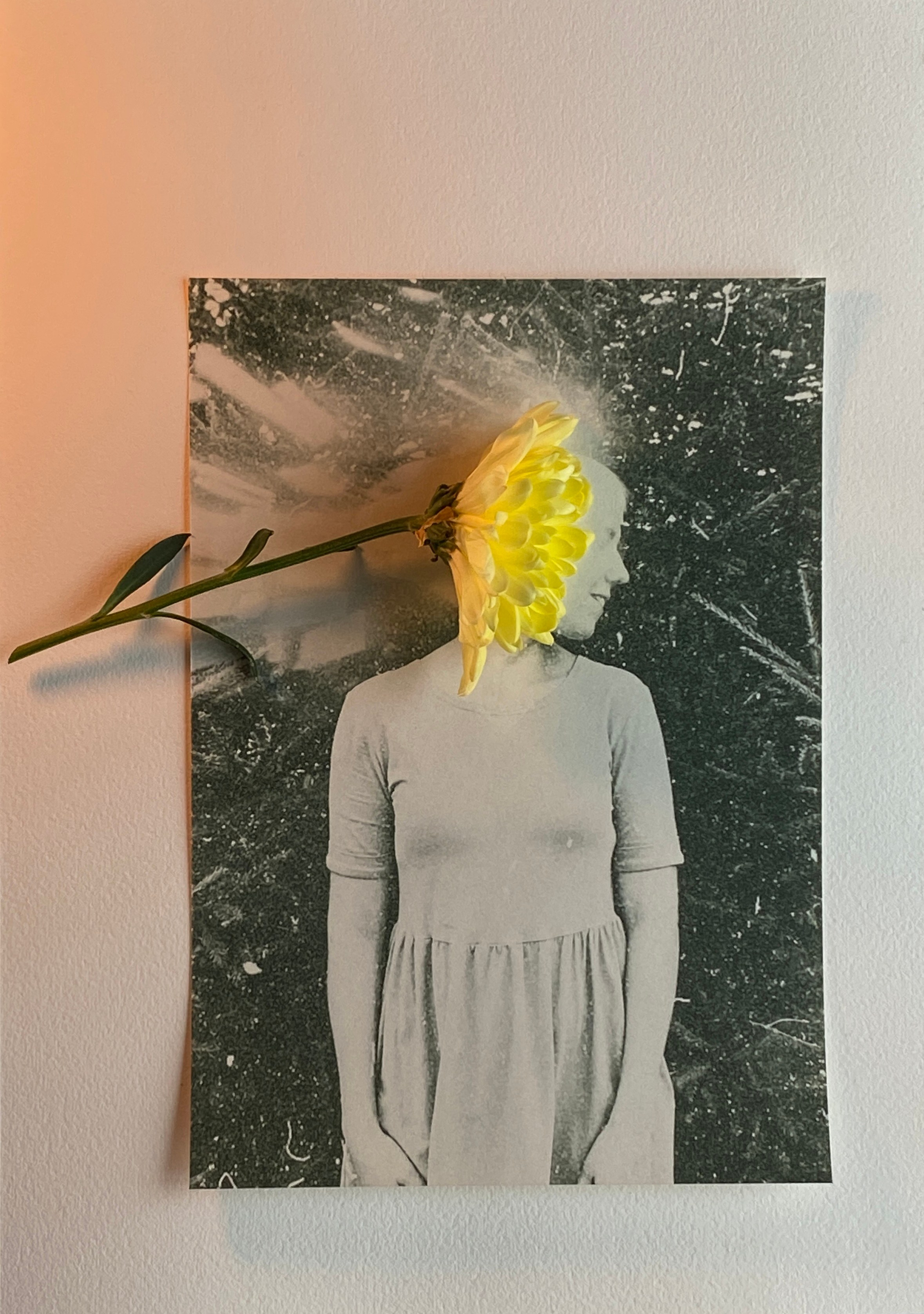 Коллажи. Visual artist