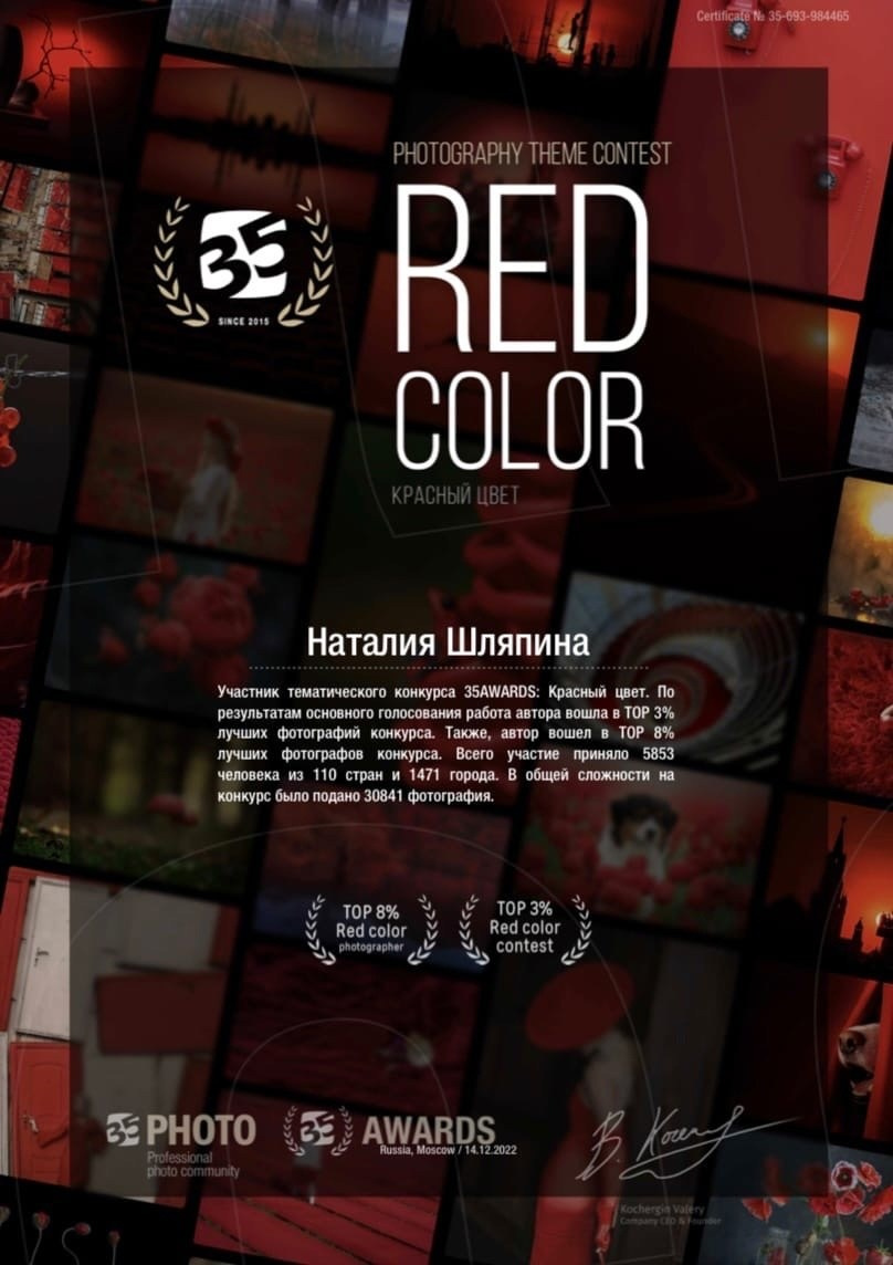 Дипломы. Фотограф Наталия Шляпина в Ростове-на-Дону