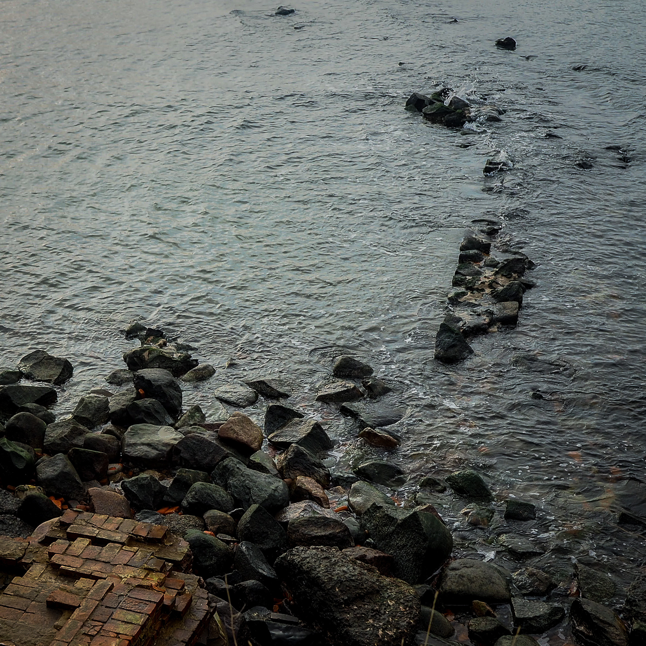 Кураторский проект «Инородное тело»