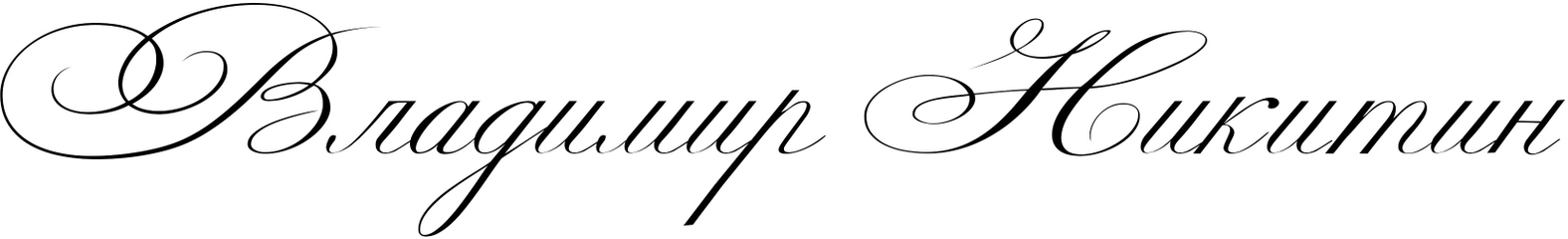 nikitinfoto.ru