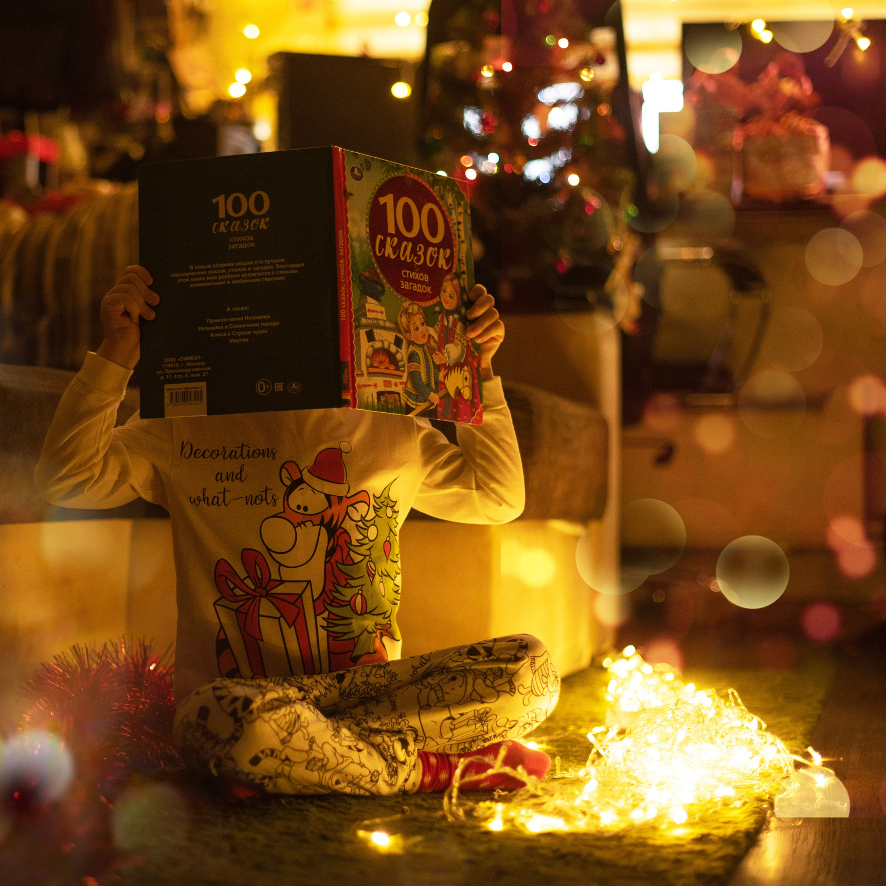 Новогодняя фотосессия у Вас дома. Свадебный и семейный фотограф Ольга Астрейко