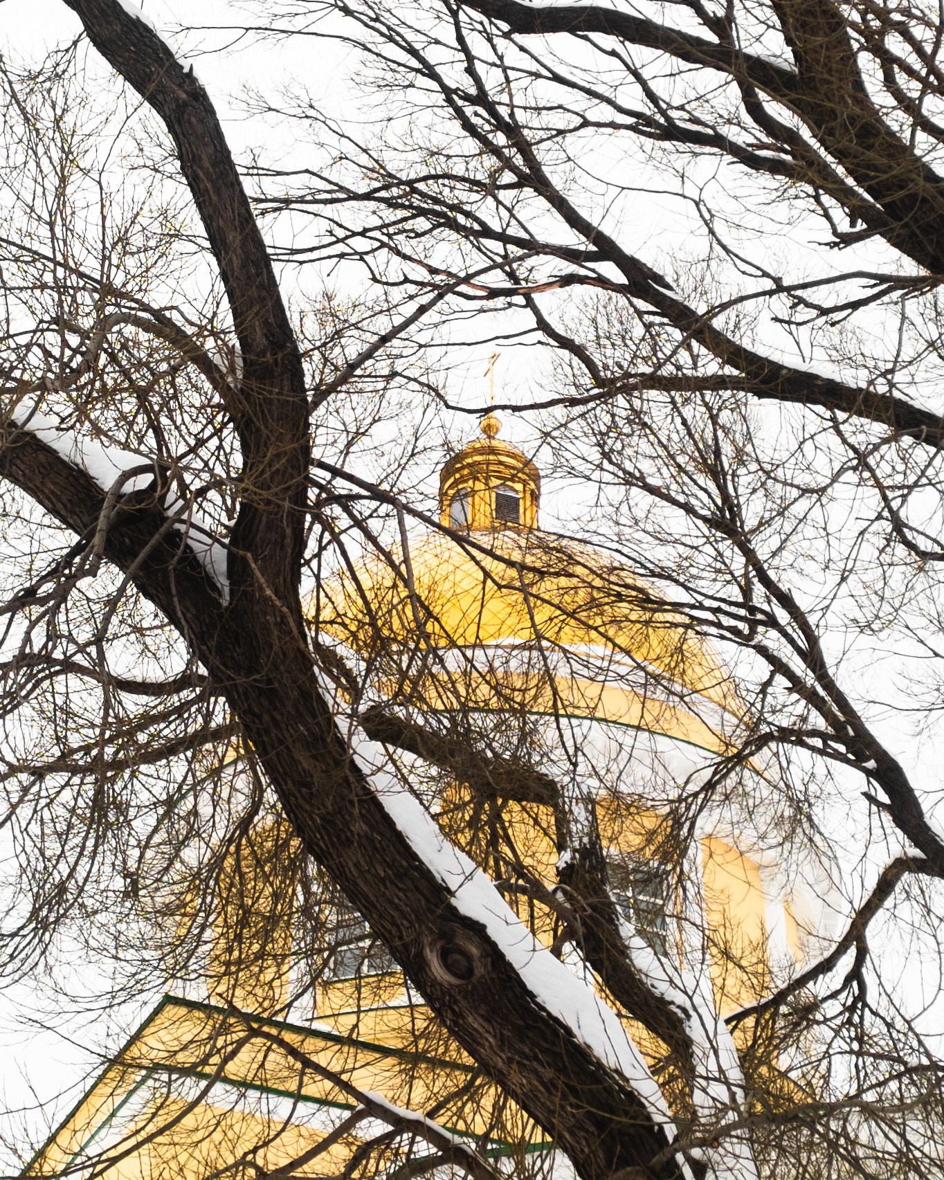 Фоточеллендж «30 дней — 30 фото». Олег Романов. Мастер фото по спорту