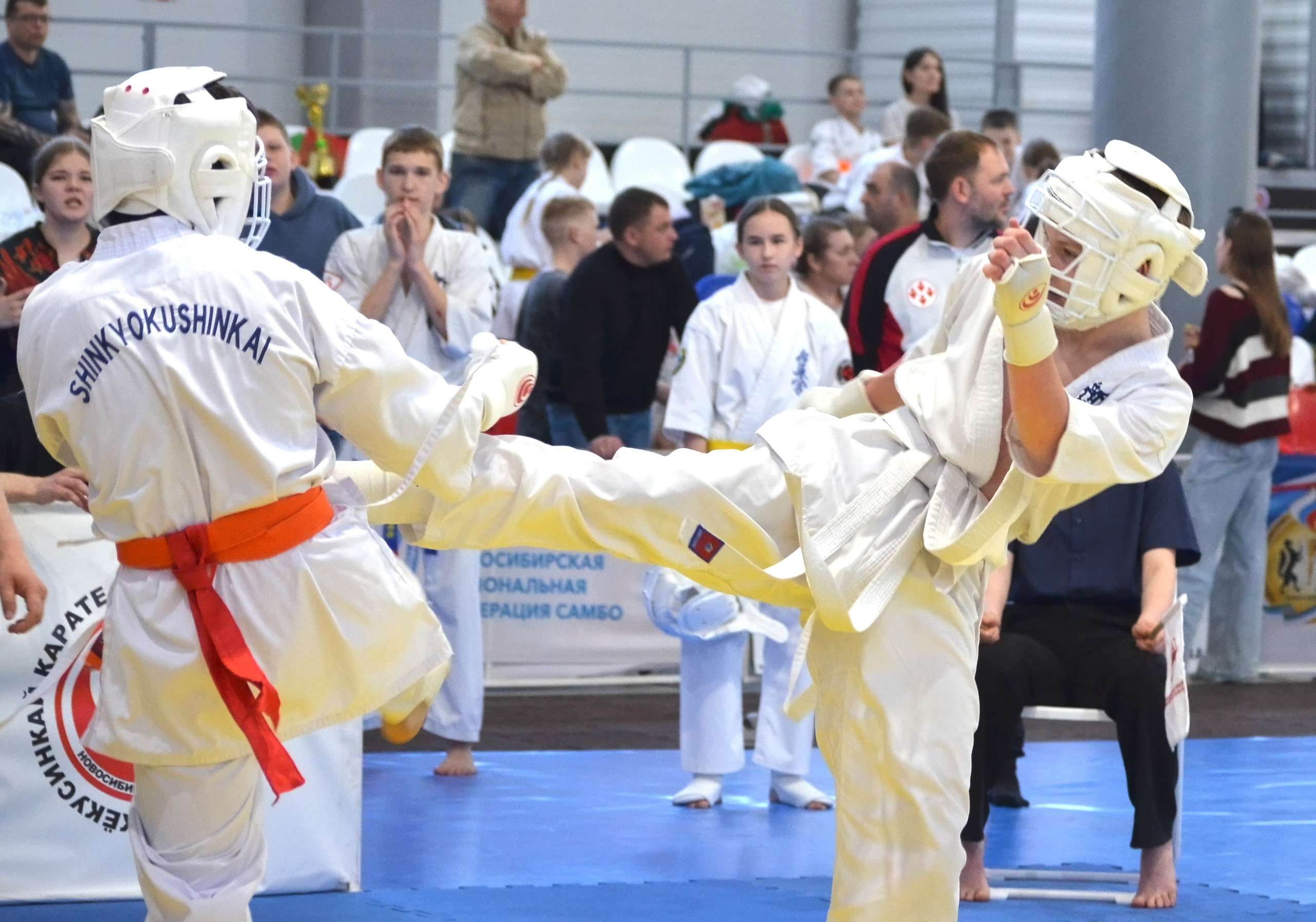 Киокусинкай карате