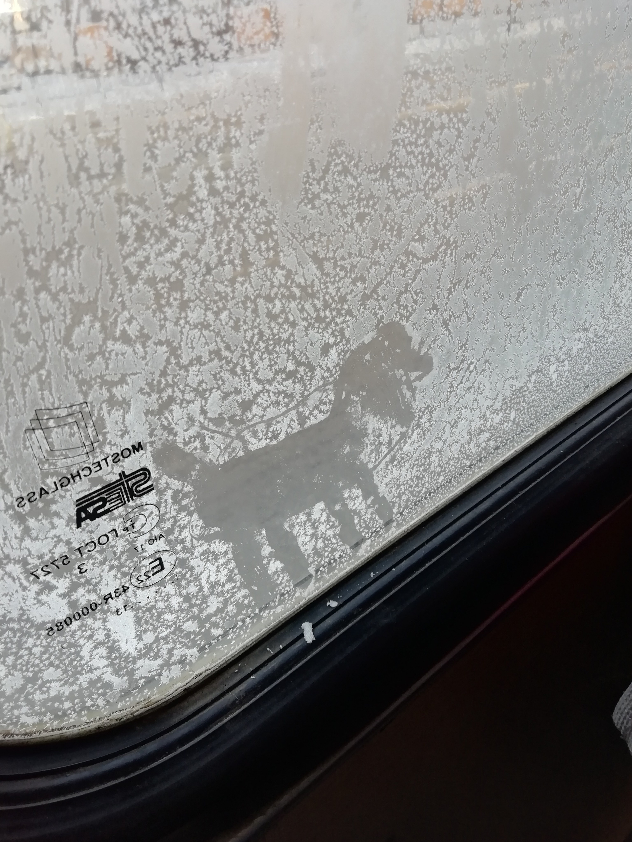 Рисункинаокнахавтобуса. Художник Рыбак Николай