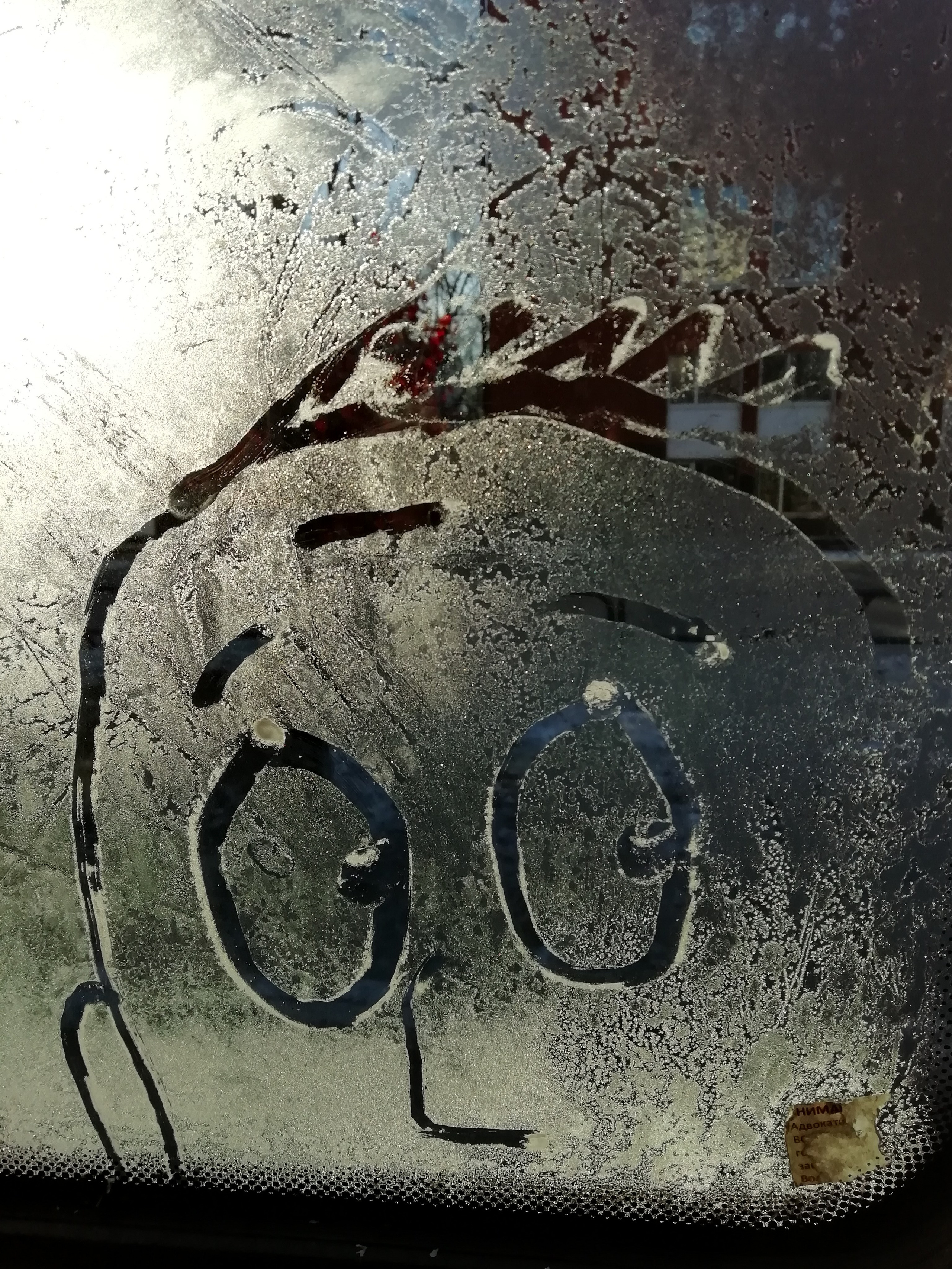 Рисункинаокнахавтобуса. Художник Рыбак Николай