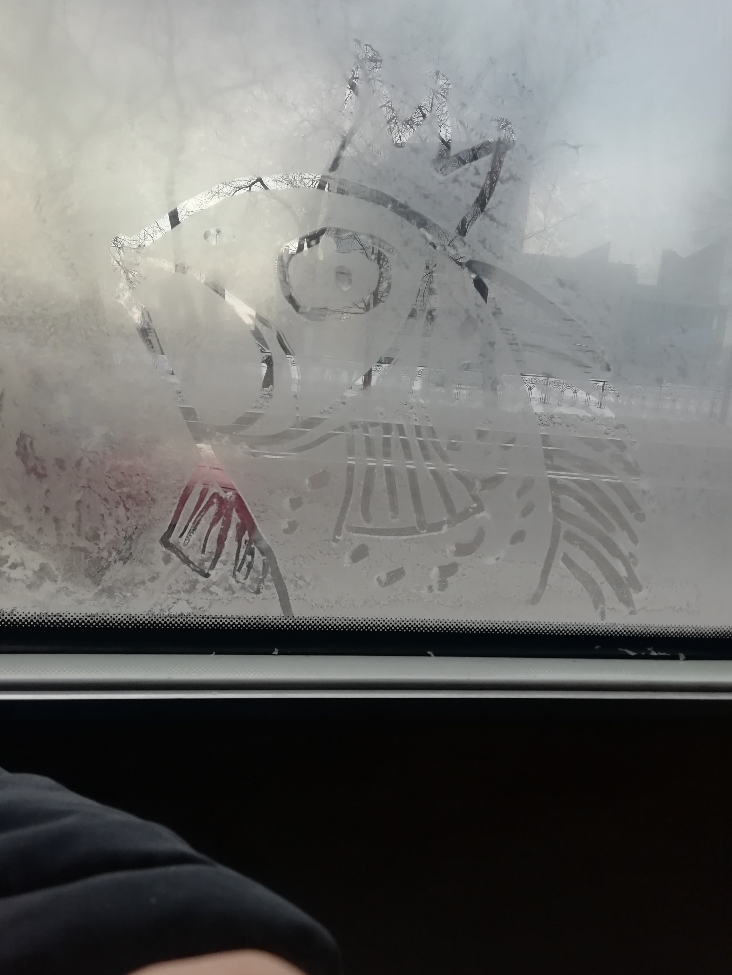 Рисункинаокнахавтобуса. Художник Рыбак Николай