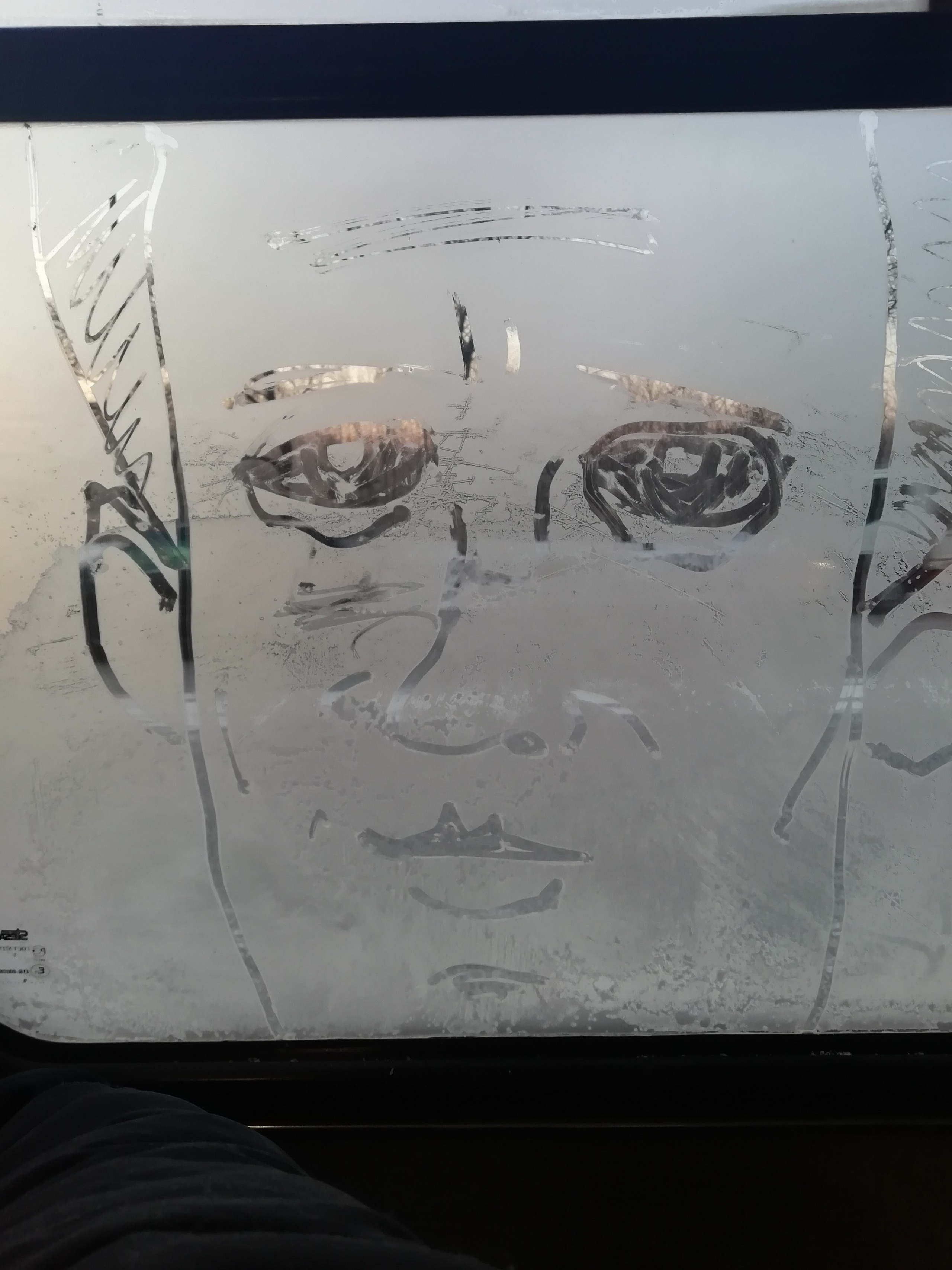 Рисункинаокнахавтобуса. Художник Рыбак Николай