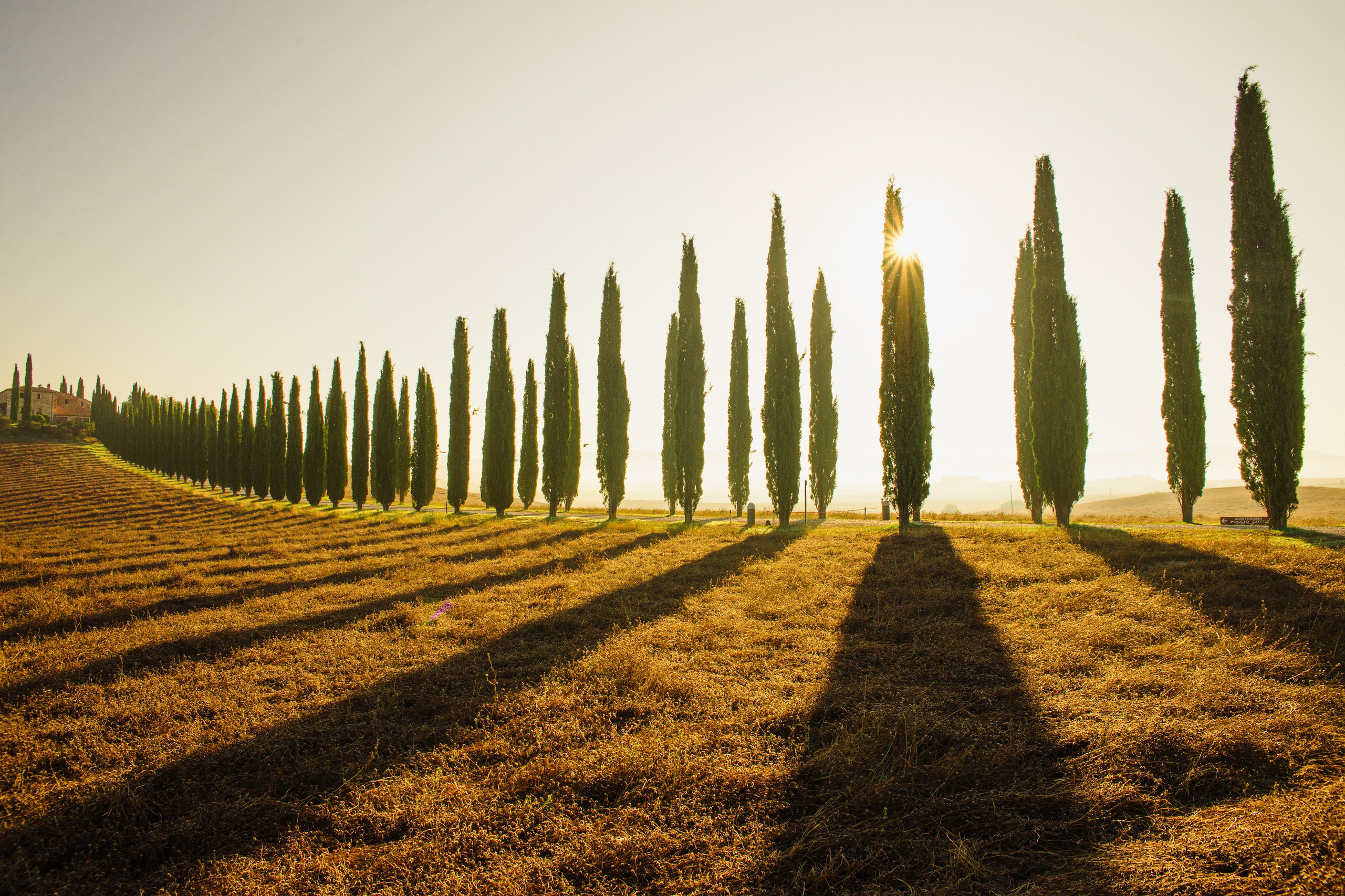 Фотографии Дмитрия Захаренко