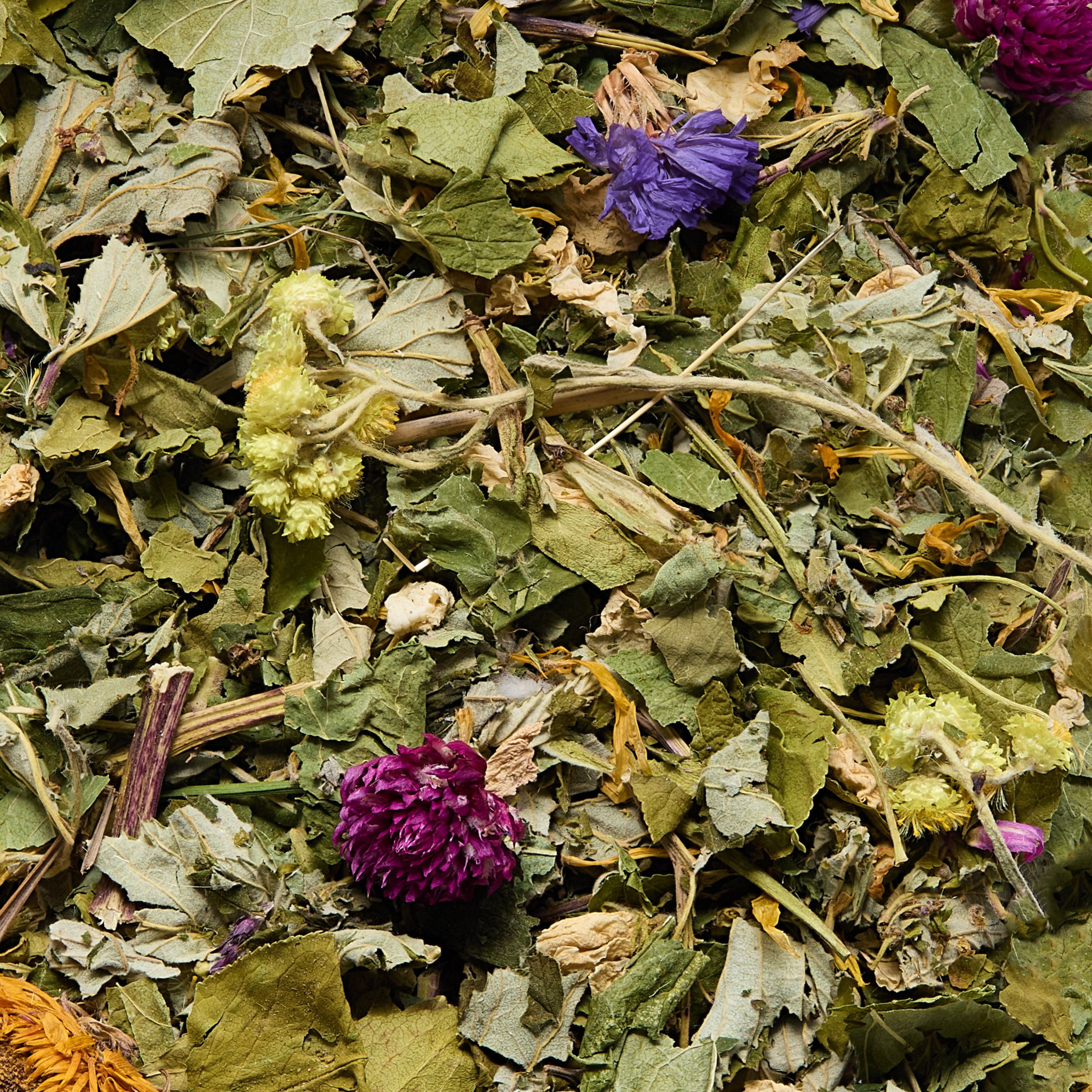 Фото упаковки чая крупным планом для маркетплейсов, Барнаул