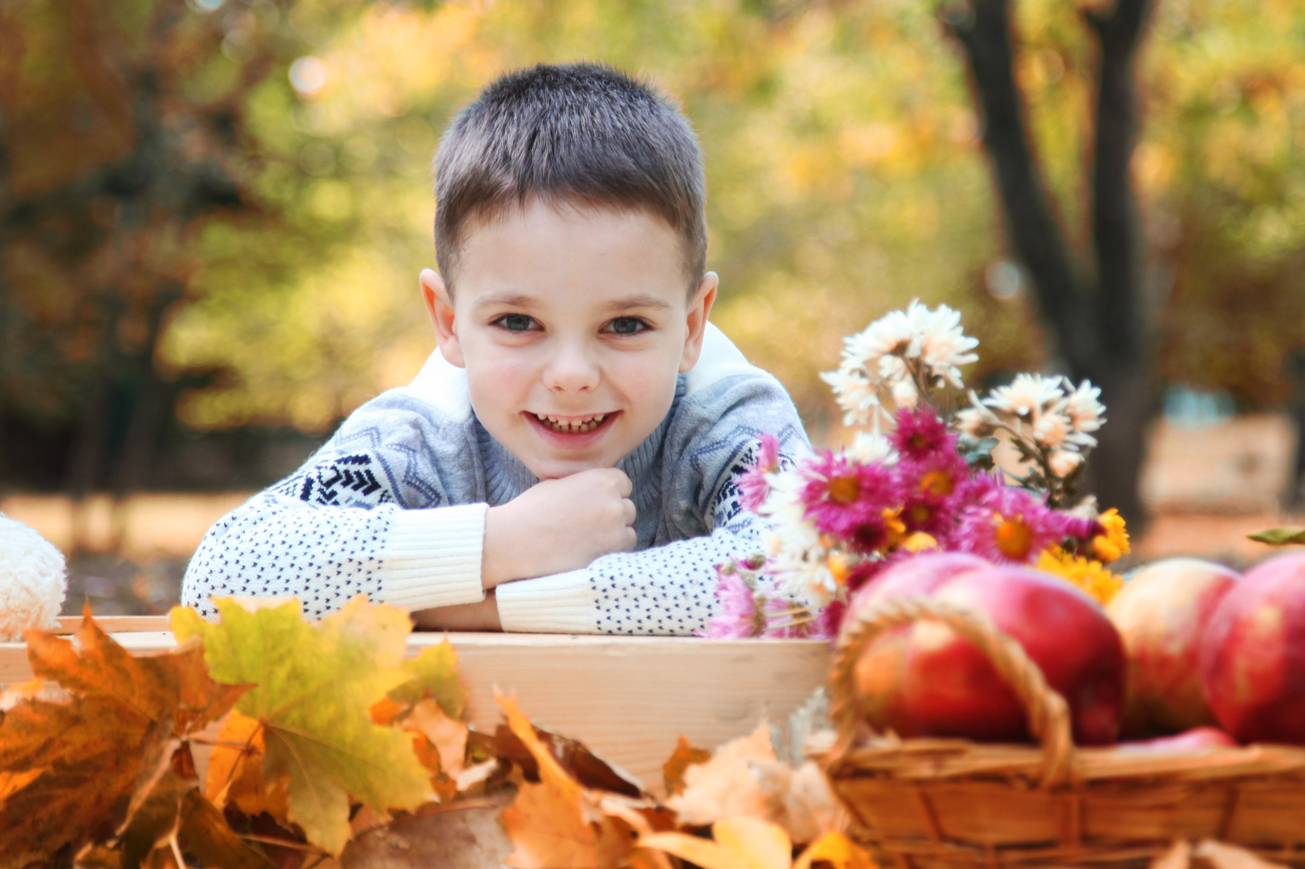 Фотопроекты для дошкольников