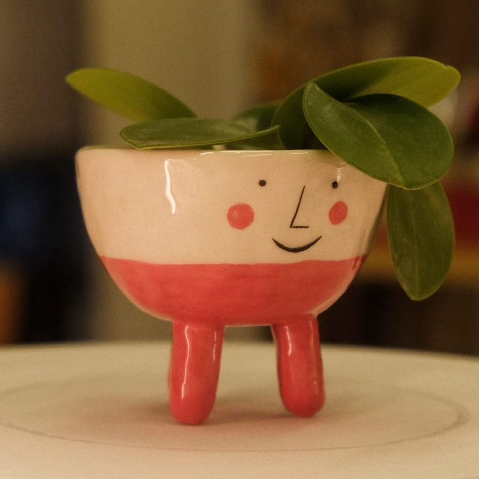 Набор кашпо «Цветы в лицах». Декор для дома