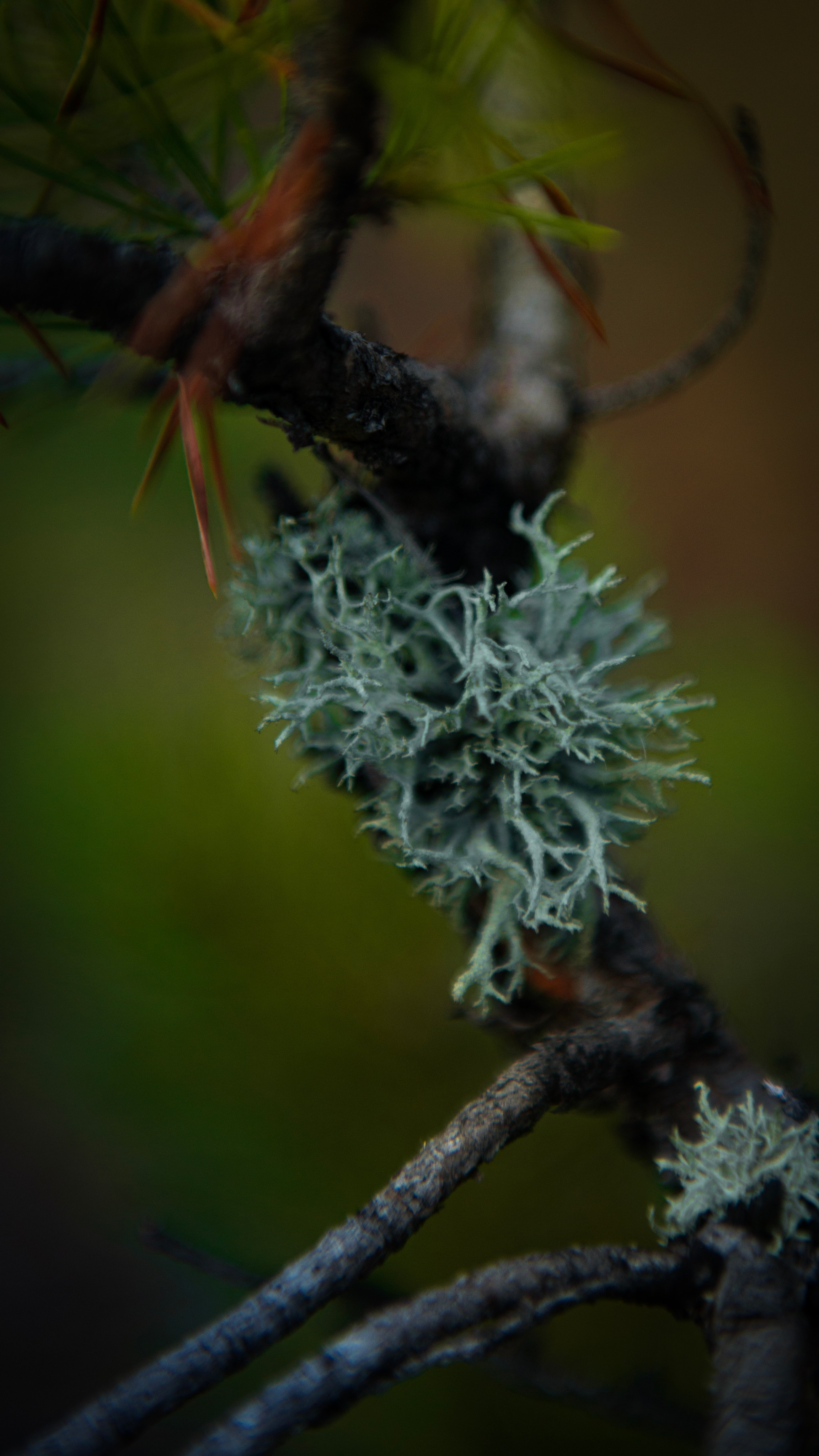 Прогулка. Профессиональная High-End Ретушь | Ретушер и предметный фотограф Алла Белова