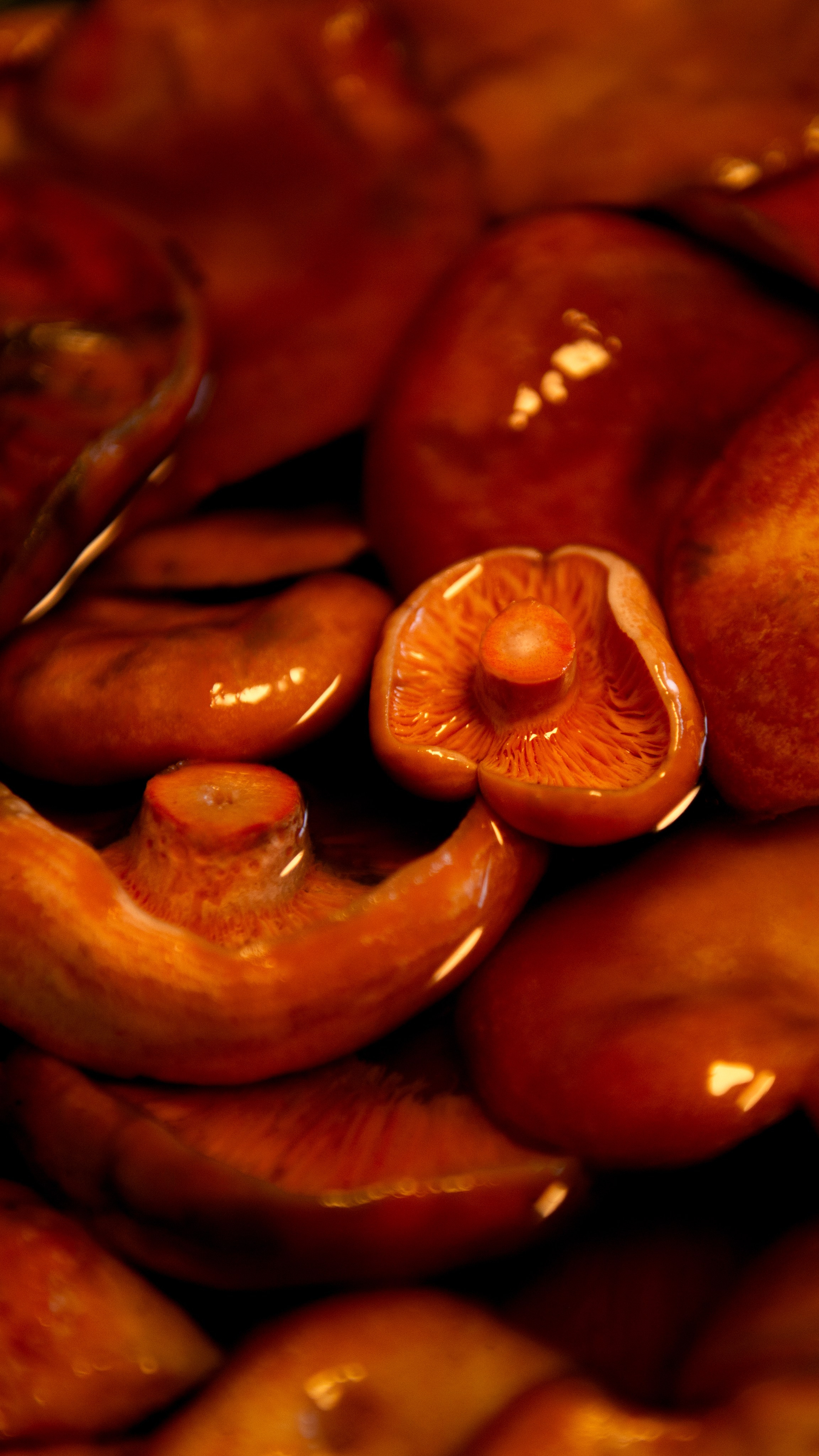 Прогулка. Профессиональная High-End Ретушь | Ретушер и предметный фотограф Алла Белова