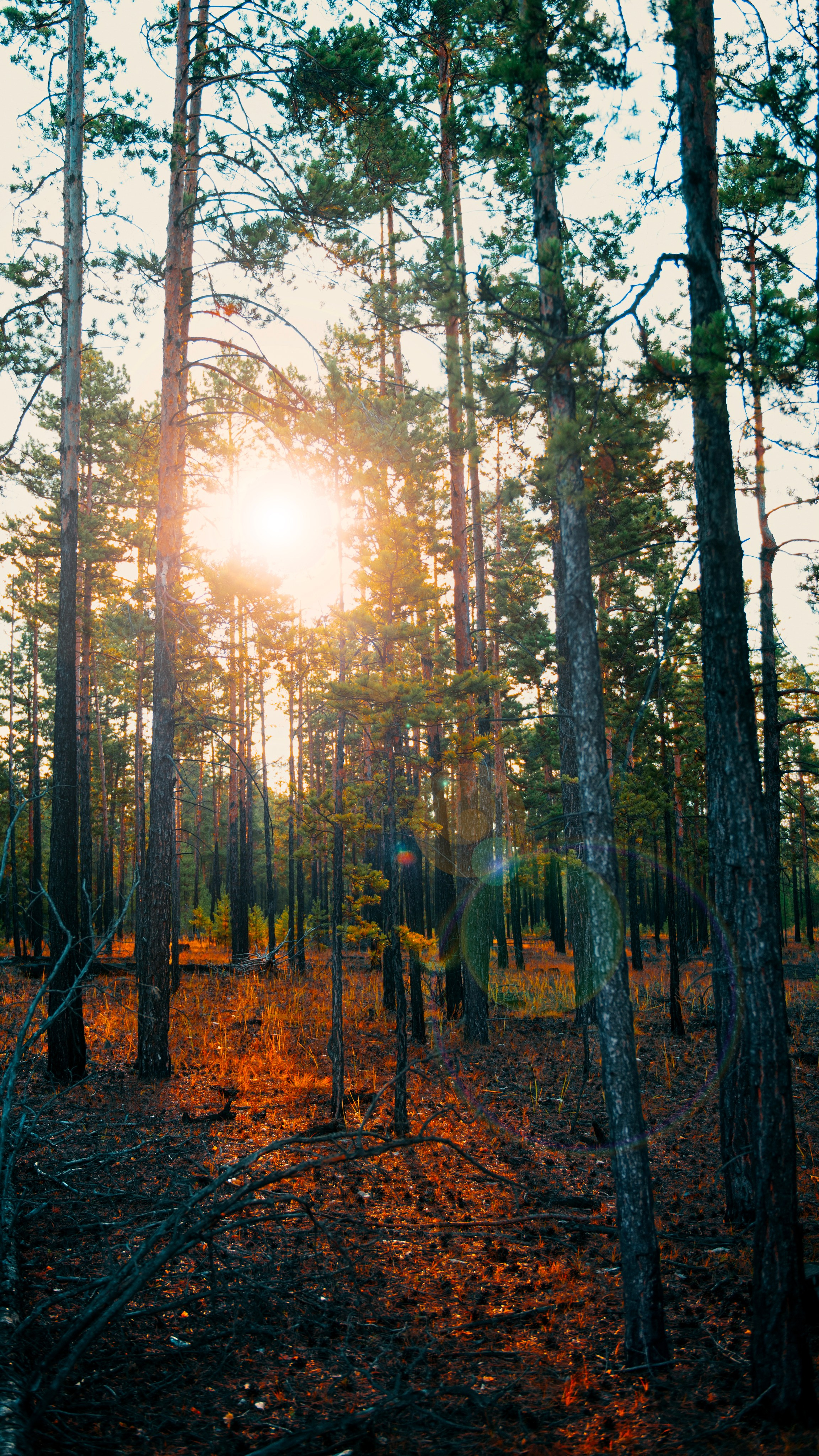 Прогулка. Профессиональная High-End Ретушь | Ретушер и предметный фотограф Алла Белова