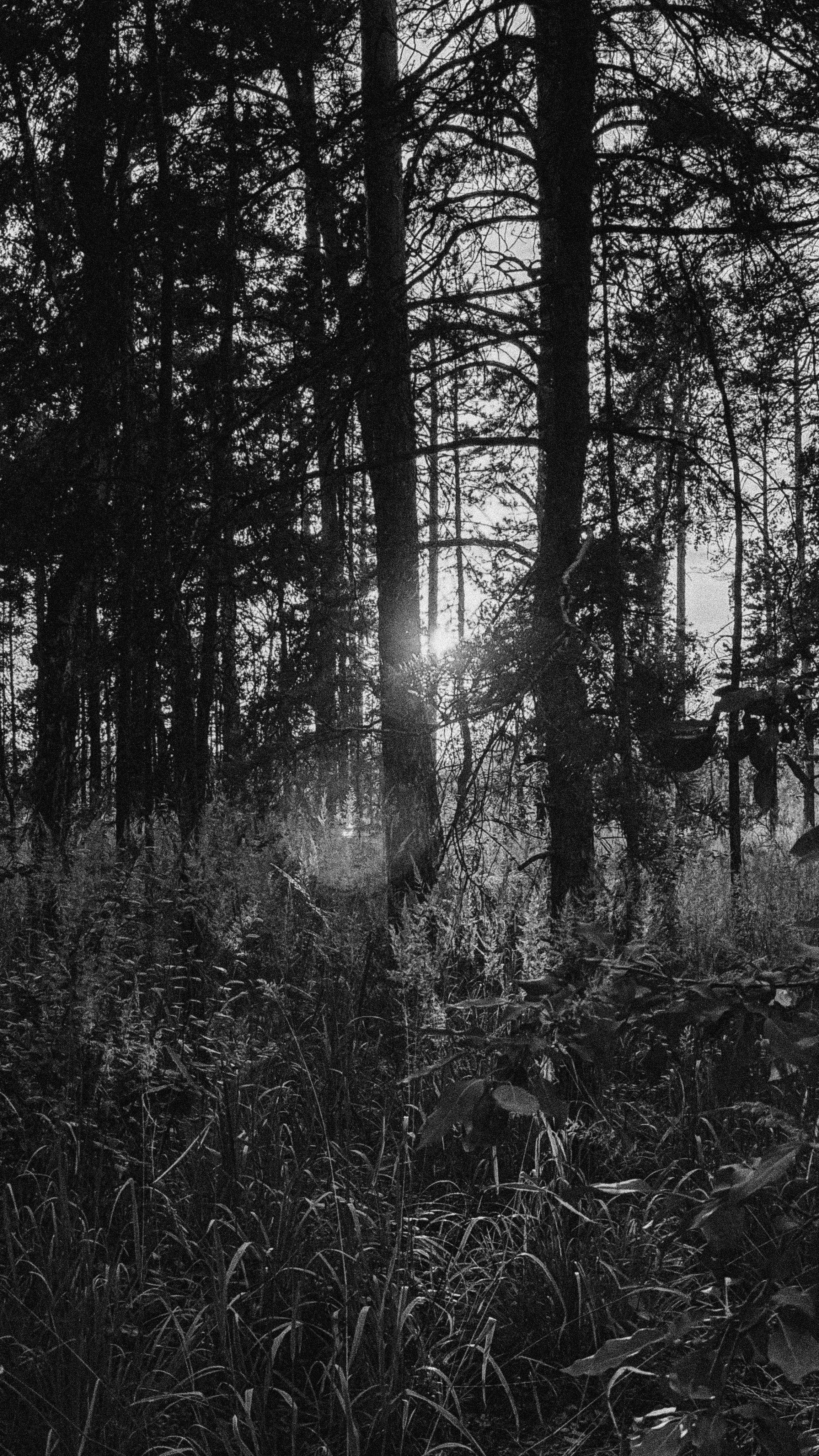 Обо мне. Фотограф Челябинск