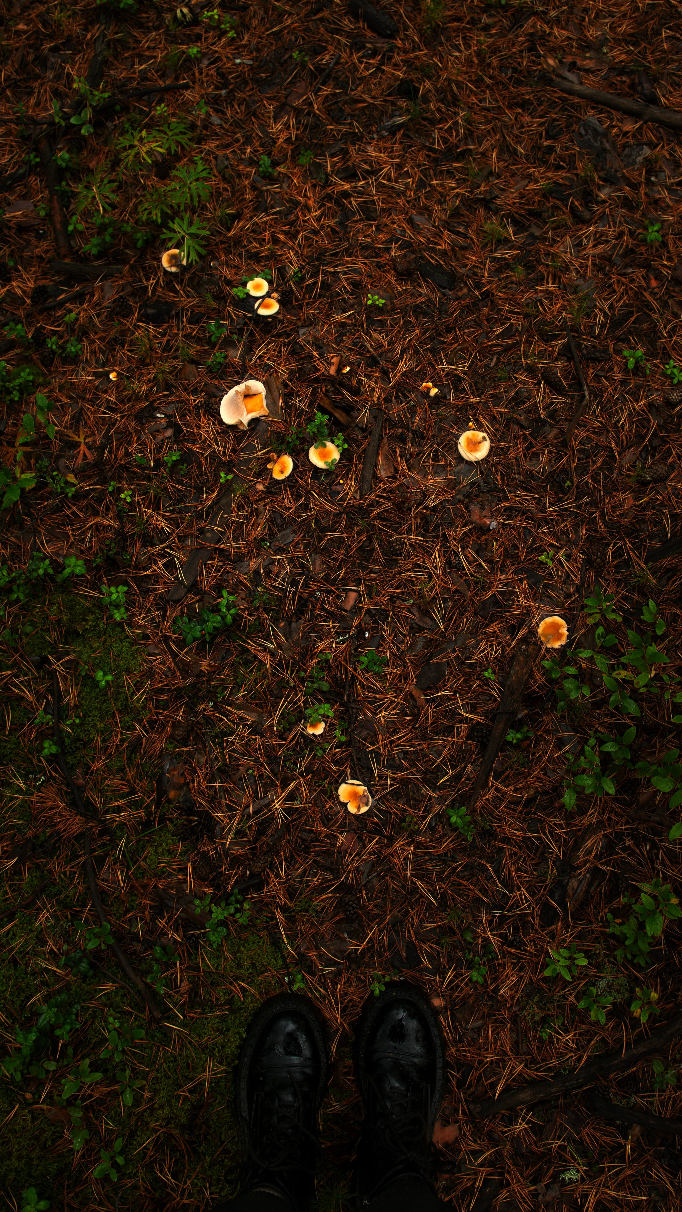 Ну вот как эту красоту не показать? А точнее, как о ней рассказать, если не показать?. Профессиональная High-End Ретушь | Ретушер и предметный фотограф Алла Белова