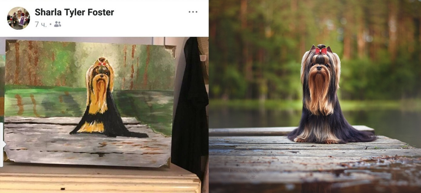 Очень приятно, когда людям нравятся мои собаки и Олины фото). Питомник Йоркширских терьеров Дэнстайл в Санкт-Петербурге заводчик Тих