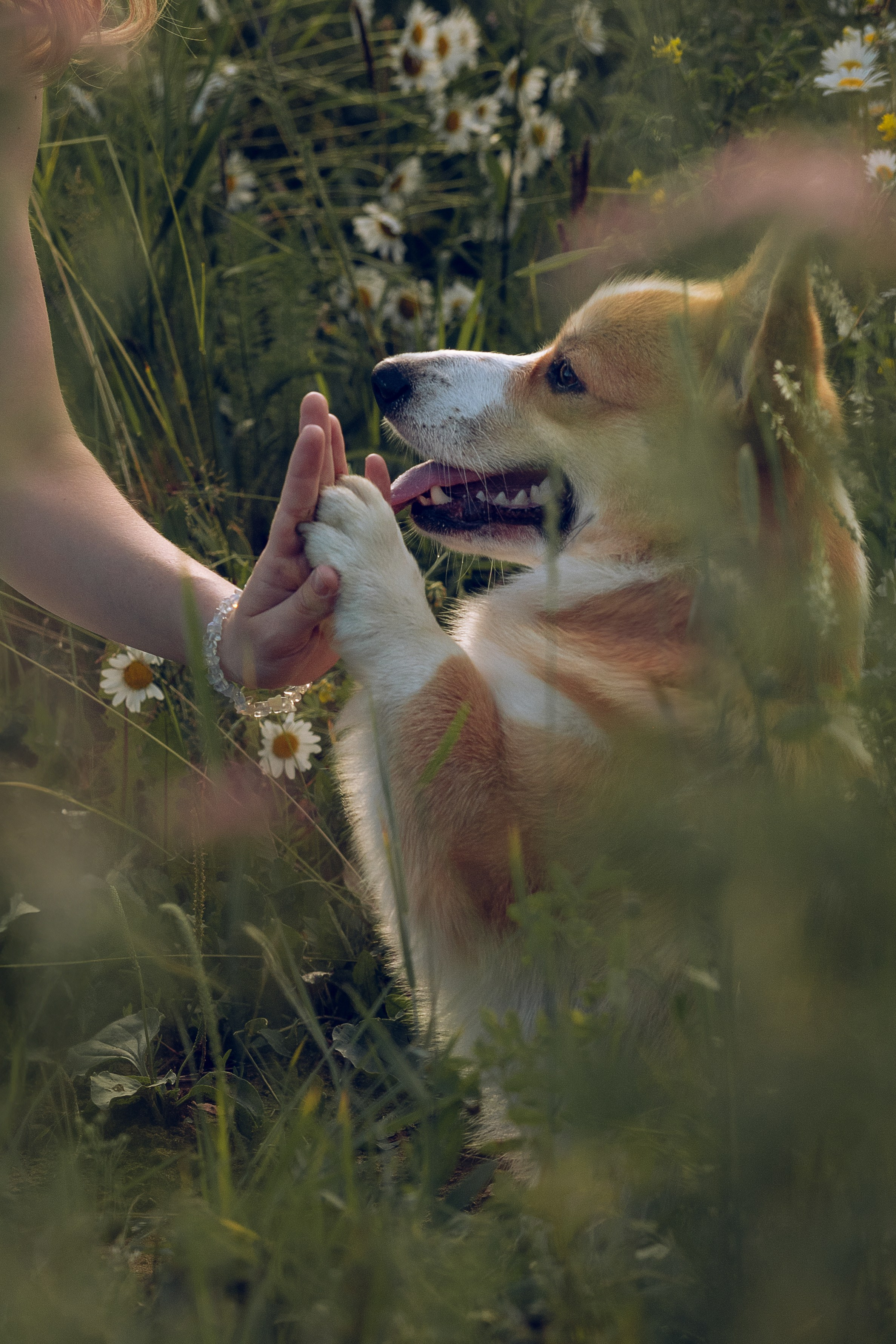 Сайт фотографа Елены Коноваловой Иркутск