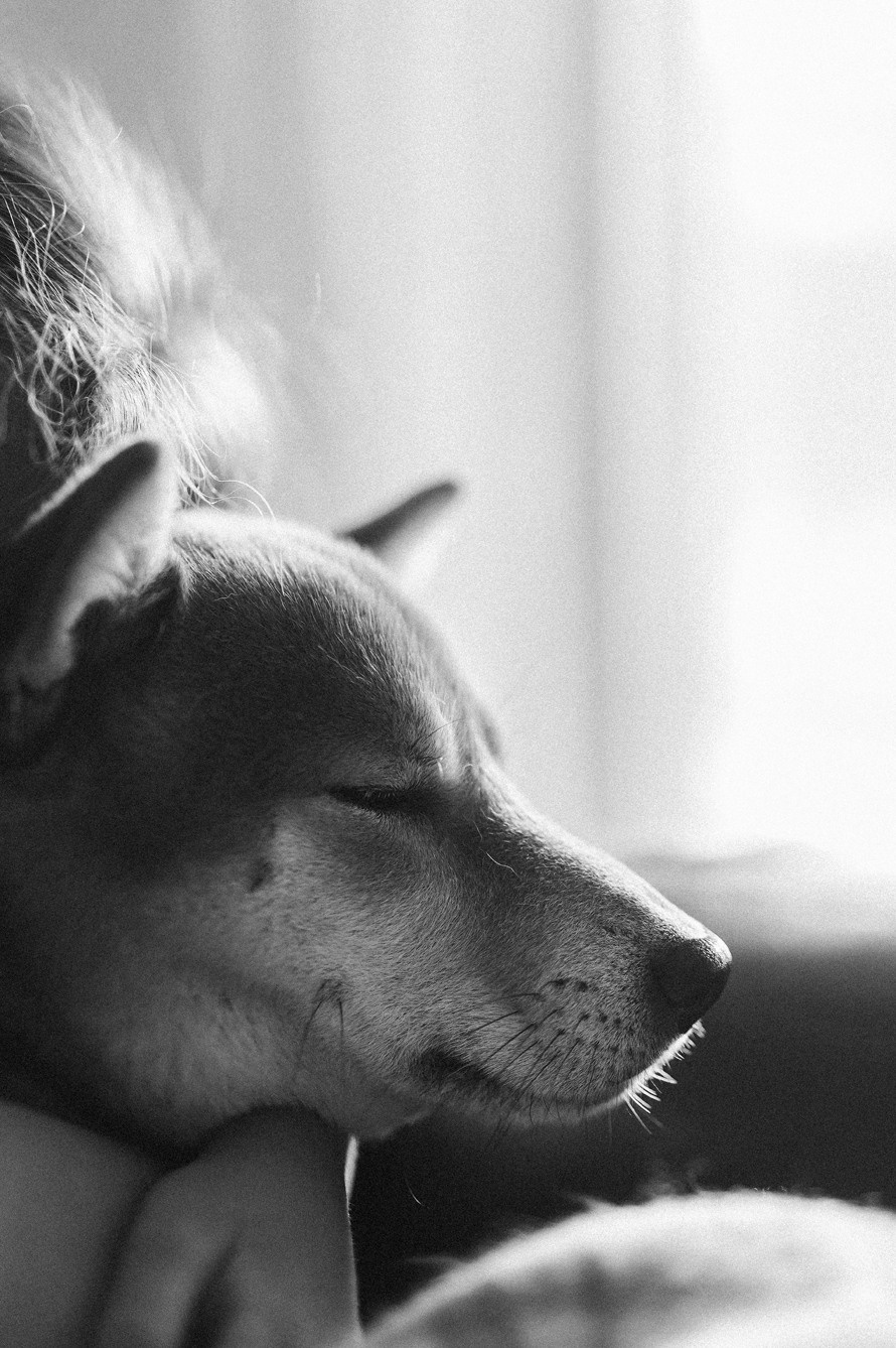 Обучение. Главная