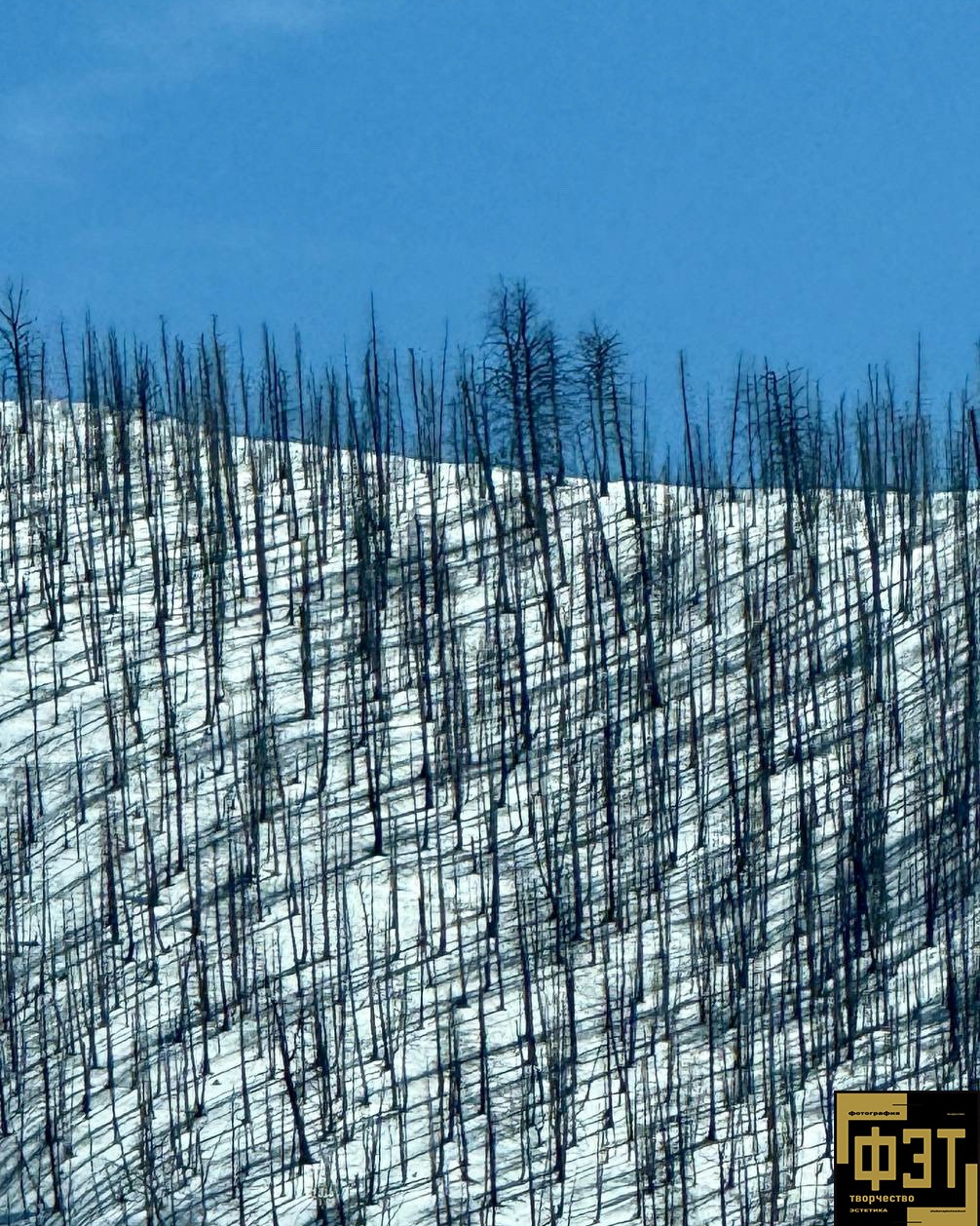 Наталья Переверзева