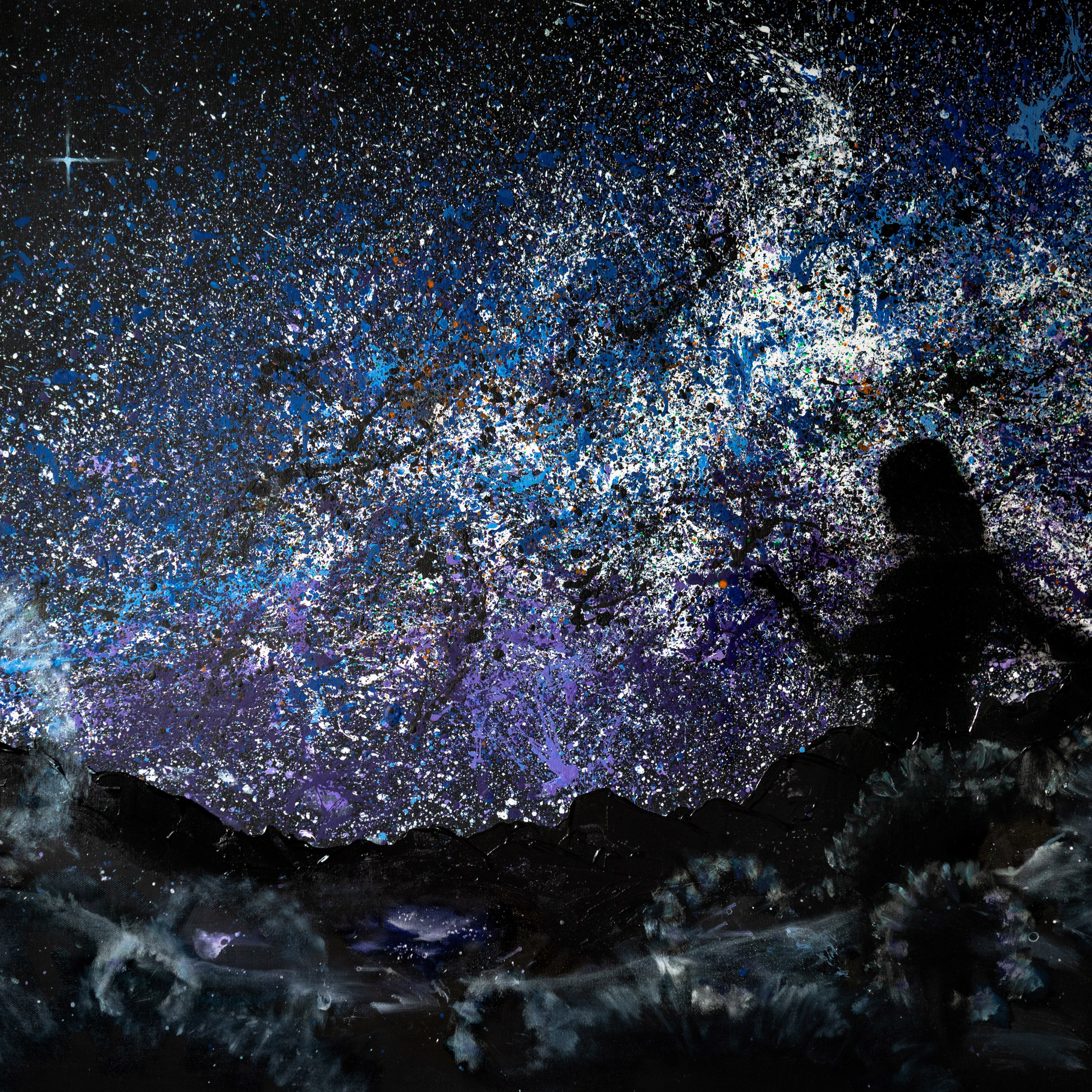 Картины. Фотограф Видеограф в Новосибирске. Топовый профессиональный контент