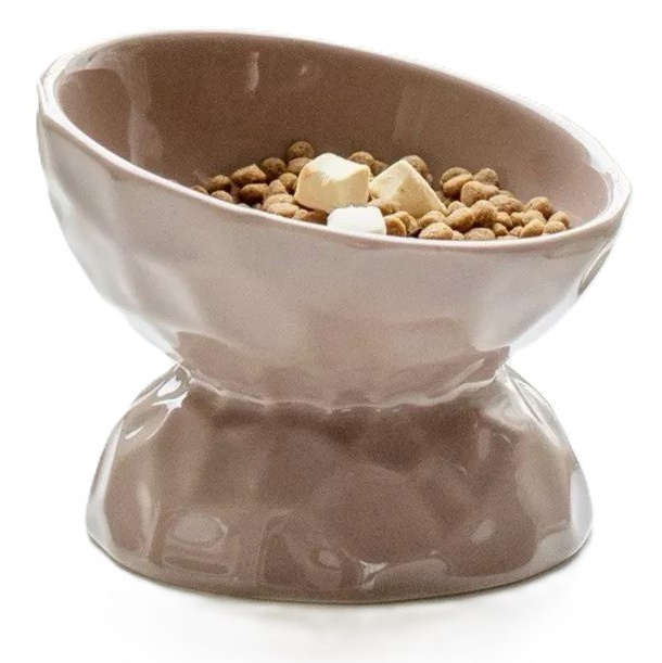 Котёнок американской бурмы. Las Burmas — питомник американской бурмы традиционных линий