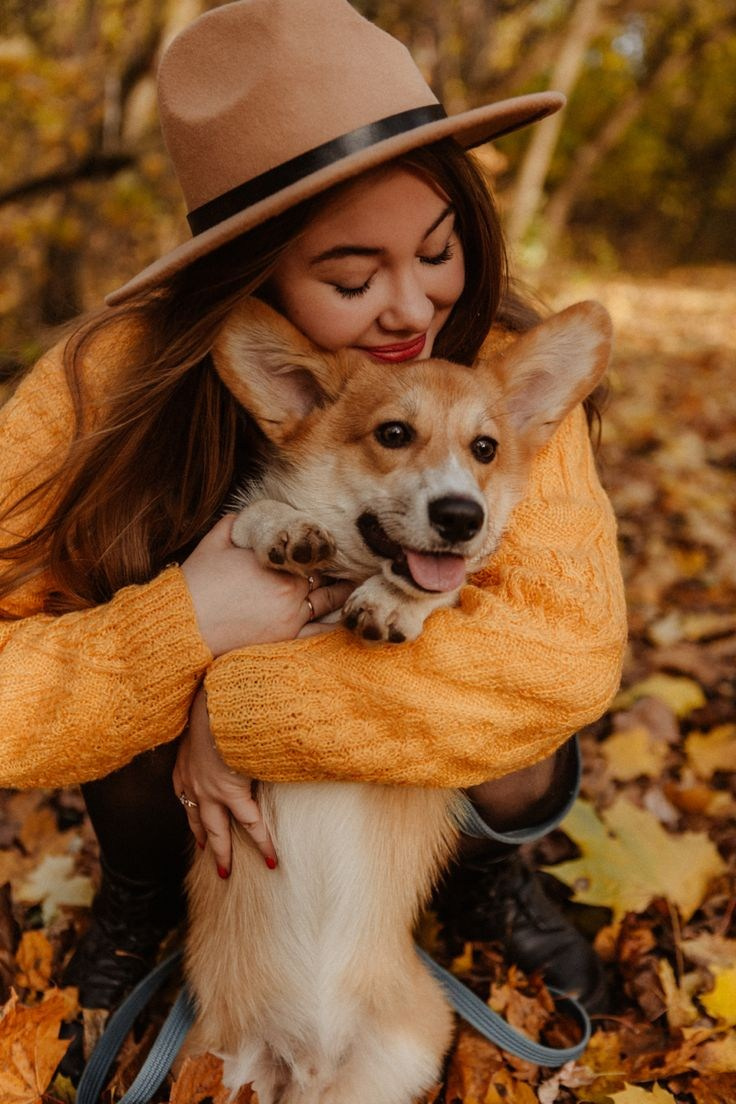 LA PULCHI СЪЕМКА С ЖИВОТНЫМИ КОНСУЛЬТАЦИЯ ПО ПОДГОТОВКЕ