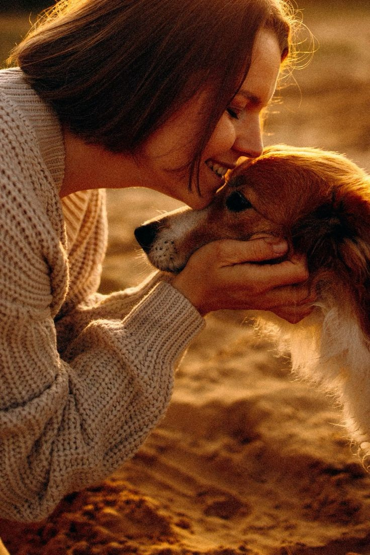 LA PULCHI СЪЕМКА С ЖИВОТНЫМИ КОНСУЛЬТАЦИЯ ПО ПОДГОТОВКЕ