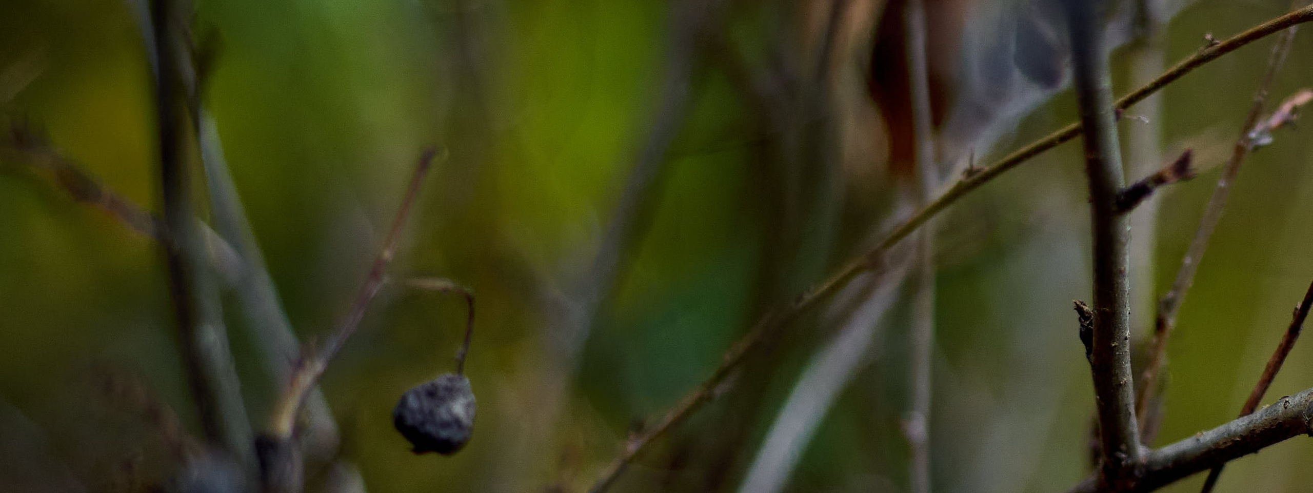 Autumn isn’t about endings. Reportage event photographer in Moscow Alexander Gladkiy