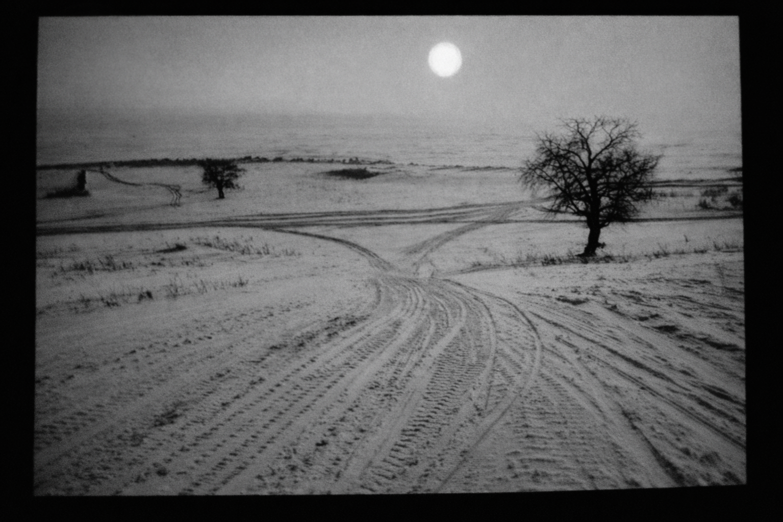 TRANSIT. Ksenia Pecherina