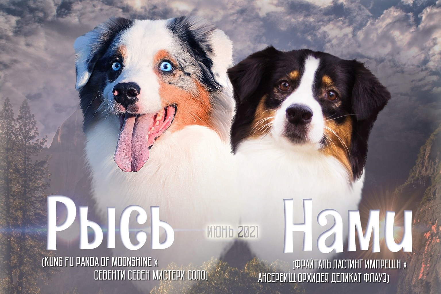 Выпускники. BLGKV питомник собак