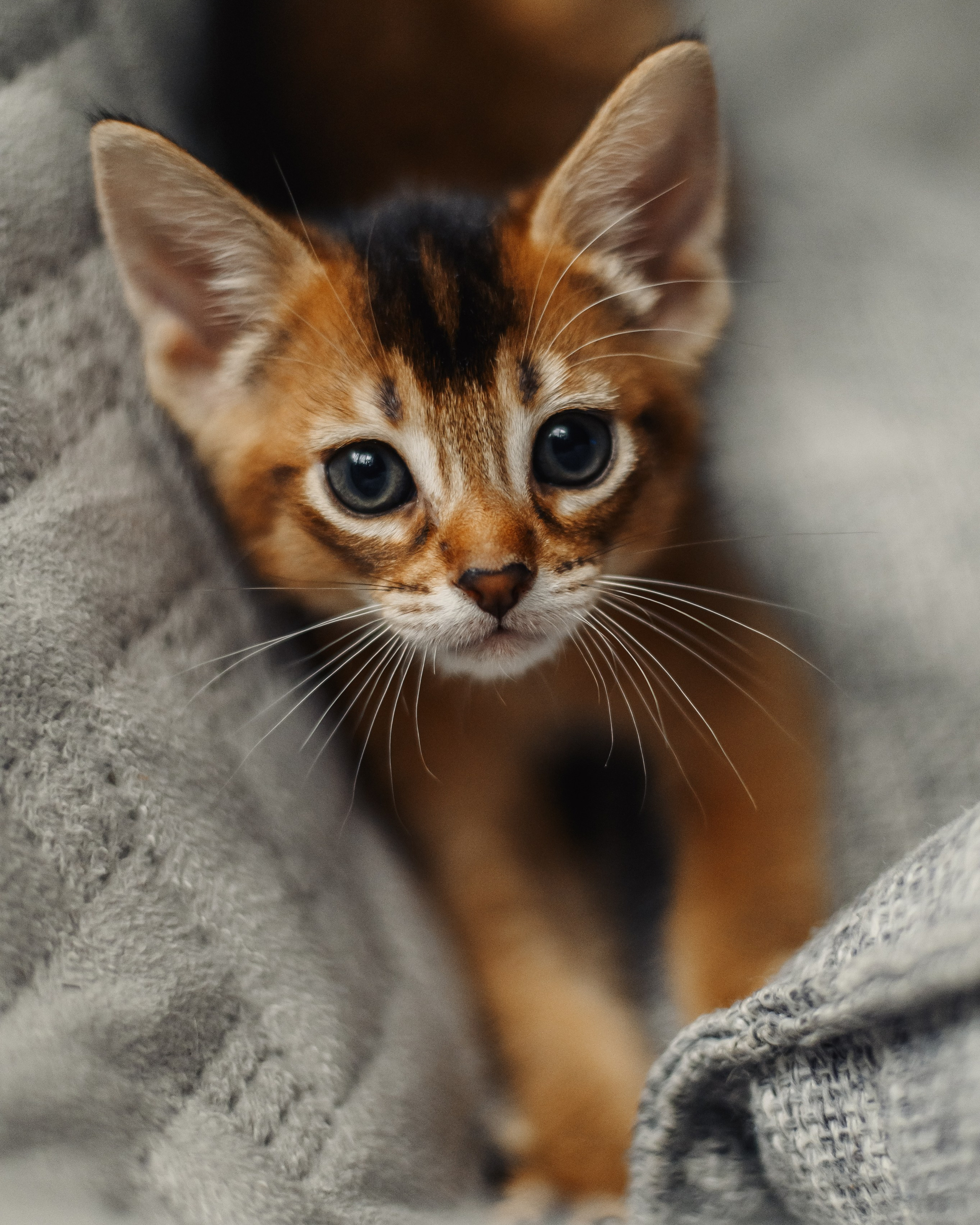 Услуги. Фотограф Анастасия Струна