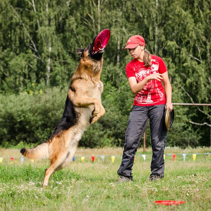 Обо мне. Фотограф-анималист Анастасия Большакова