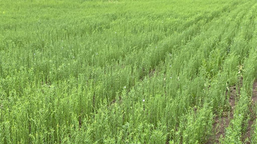 Контакты предприятия. Акционерное общество «Маяк» (АО «Маяк») Карасукский район