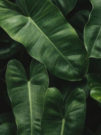 Идеи фотосессии на отдыхе. Пашунеску Ксения: Фотограф | Фотосессия в Анапе