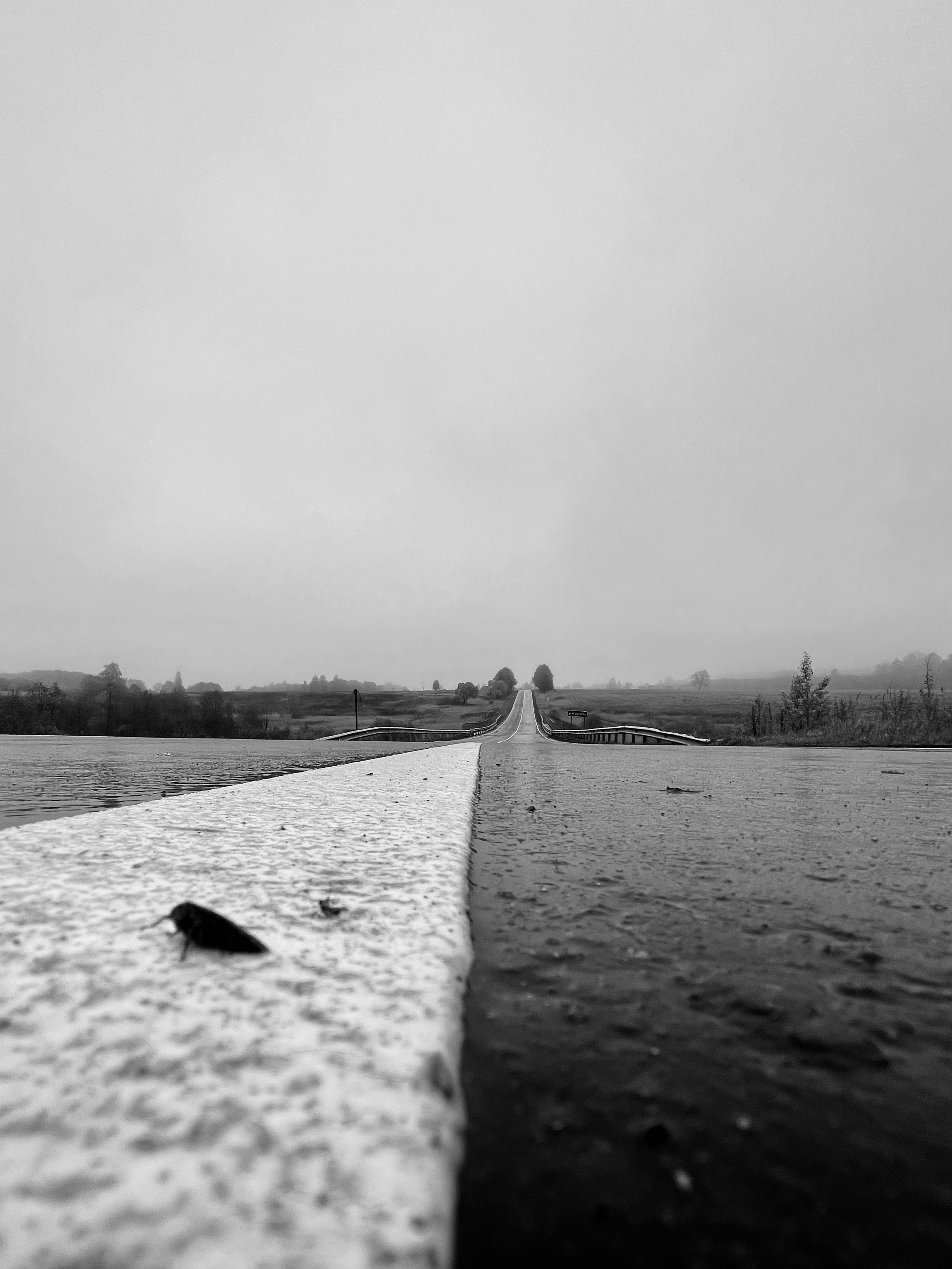 Услуги. Ольга Олейник Фотография — это жизнь