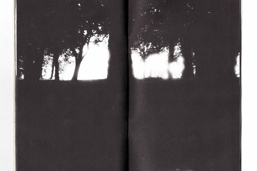 Воркшоп по зинам. Самоорганизация Низина